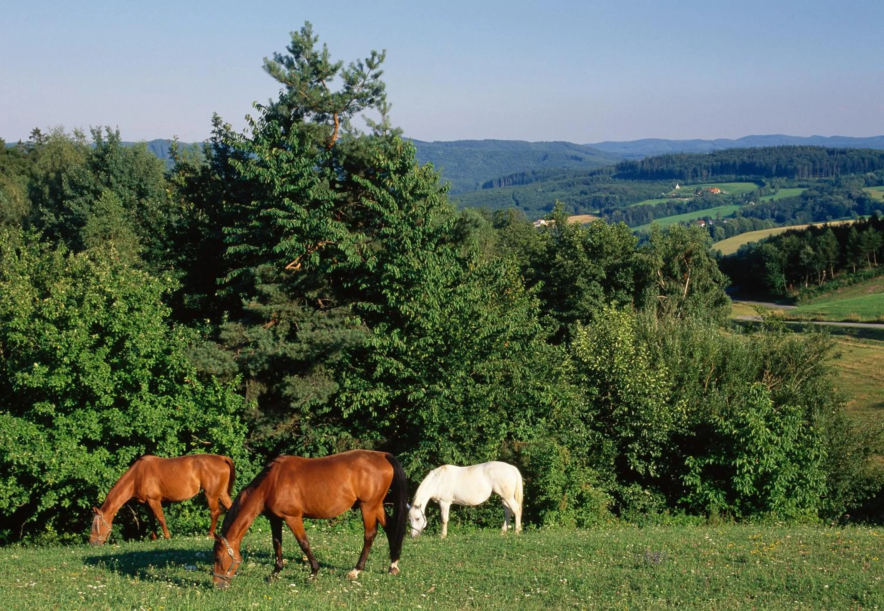 Facade/entrance in Wienerwaldhof Rieger