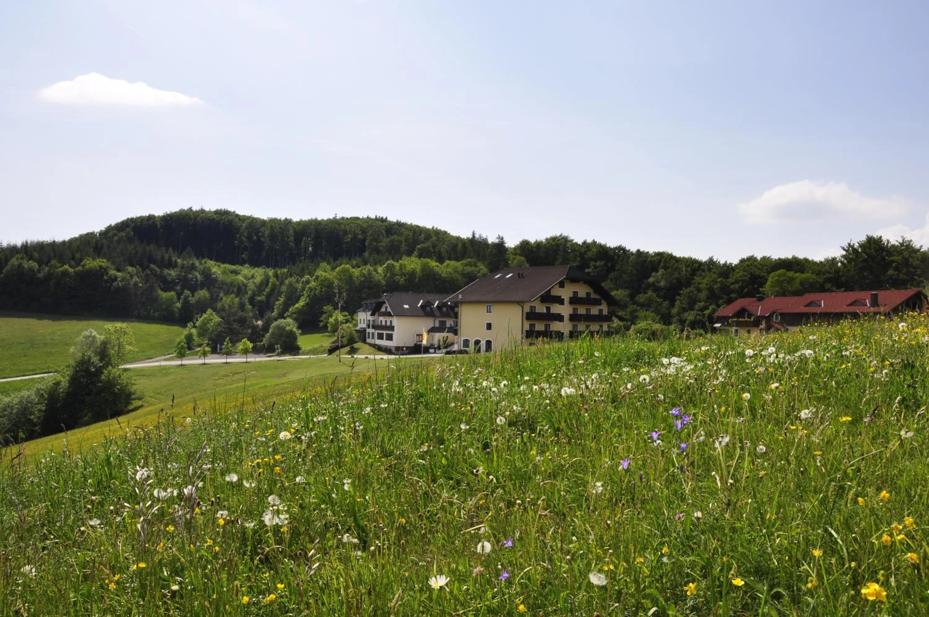 Facade/entrance in Wienerwaldhof Rieger