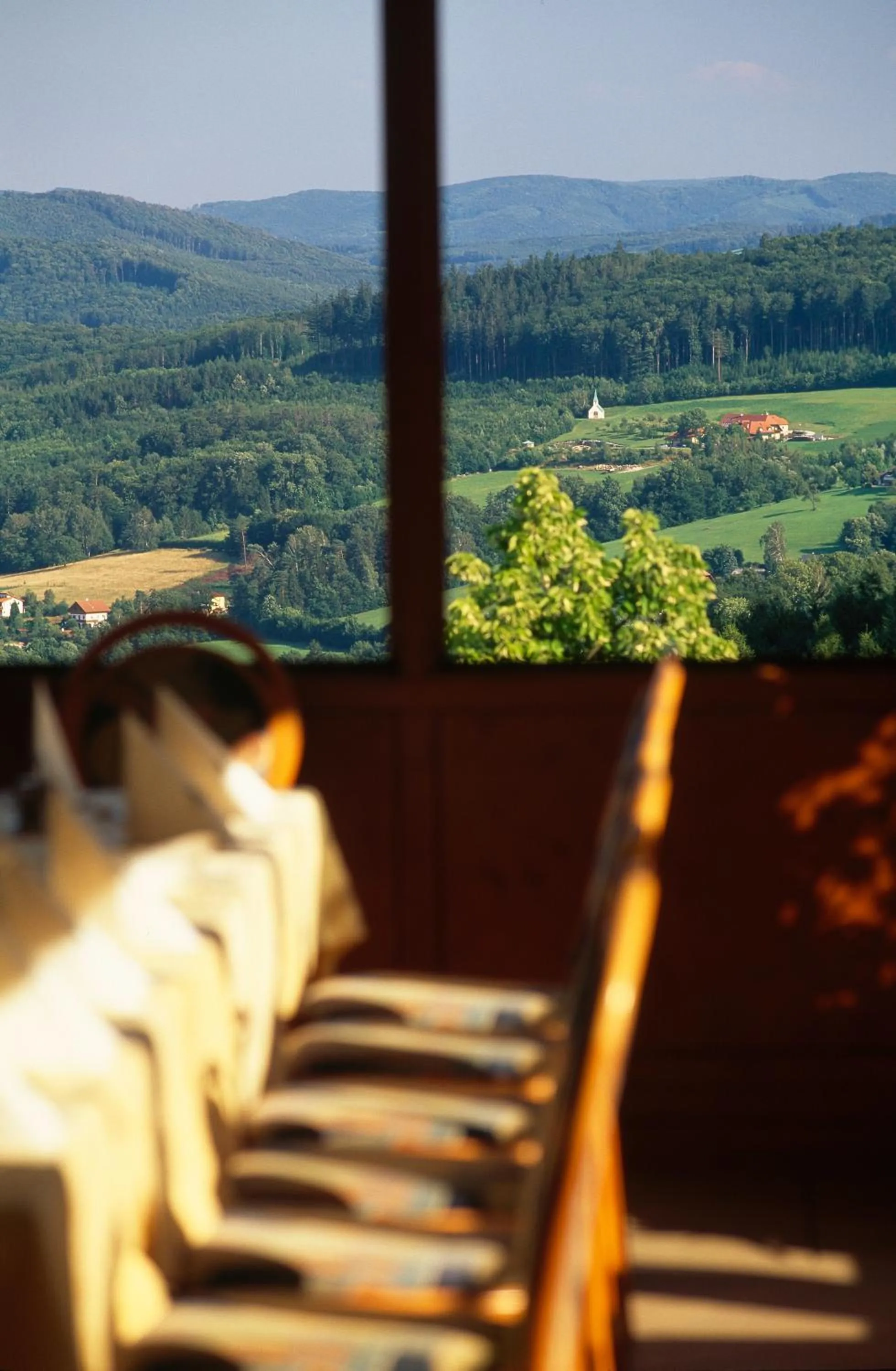 Restaurant/places to eat in Wienerwaldhof Rieger