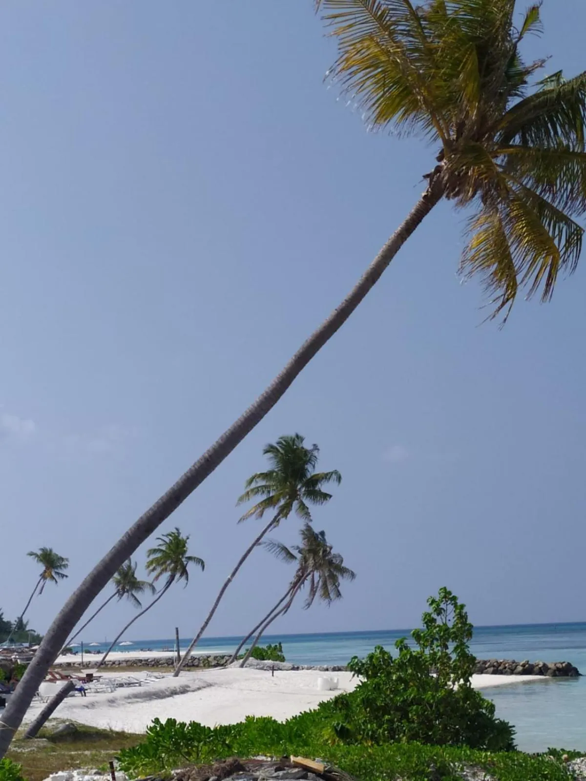 Beach in Courtyard Guesthouse