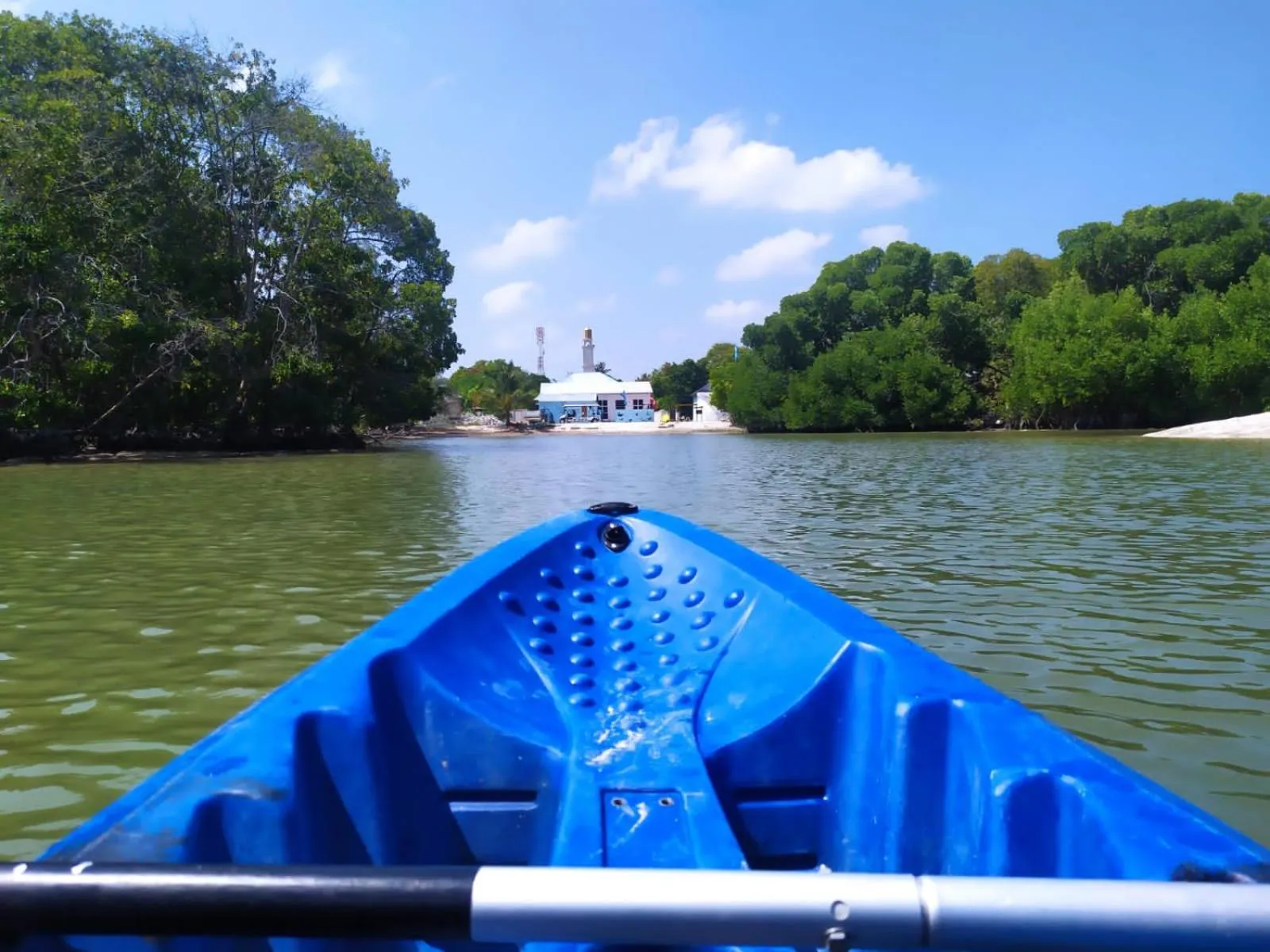Day in Courtyard Guesthouse