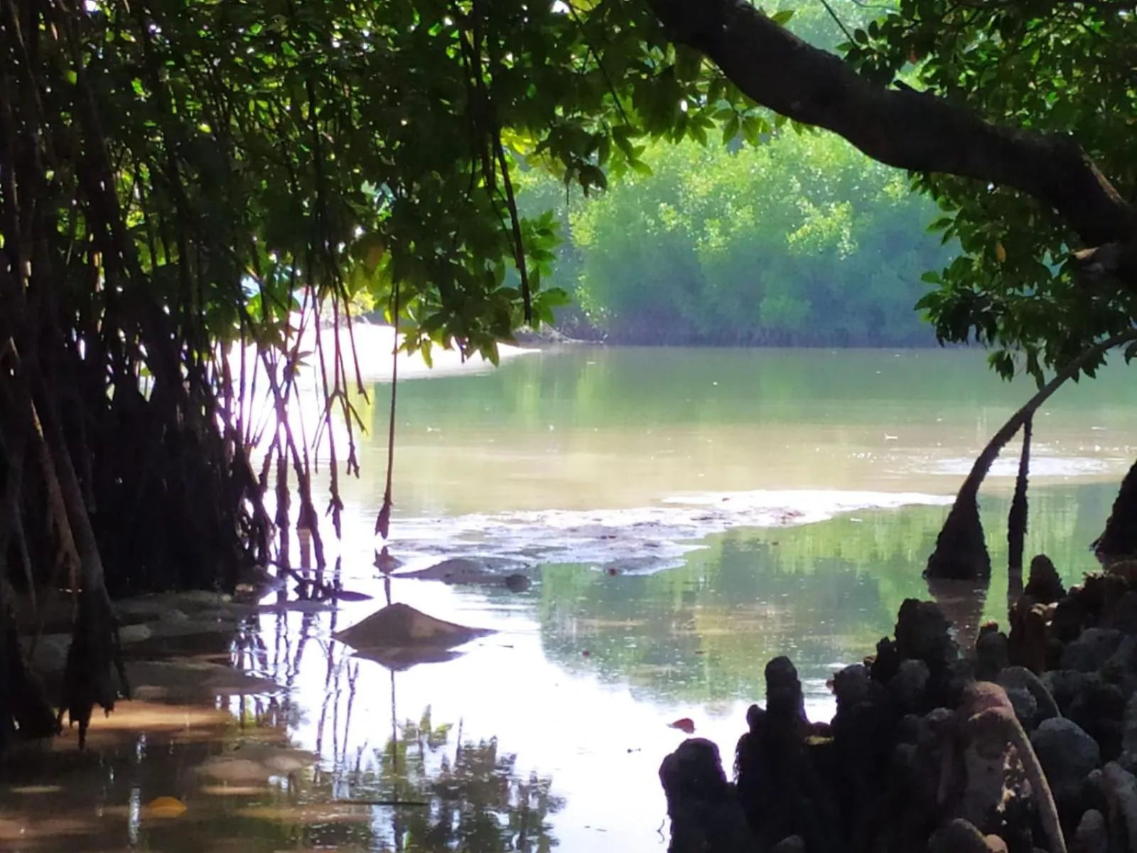 Natural landscape in Courtyard Guesthouse