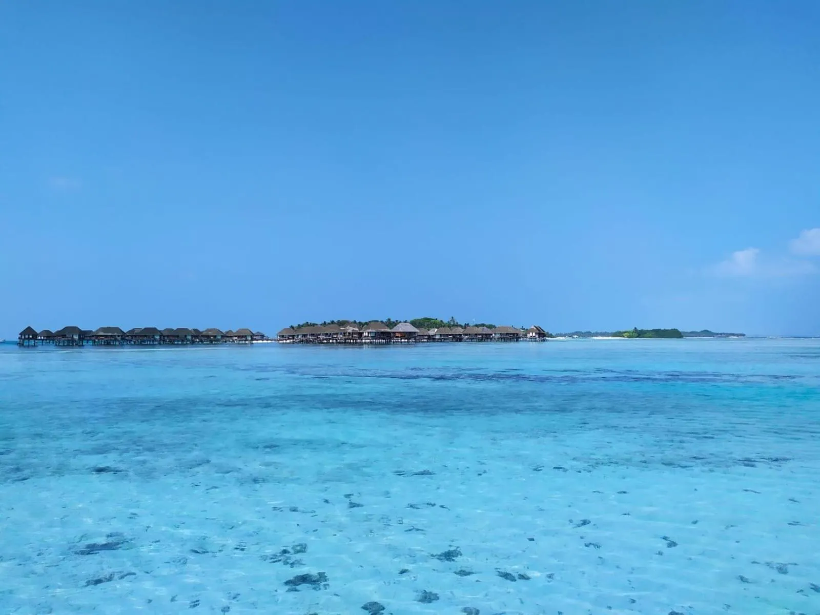Snorkeling in Courtyard Guesthouse