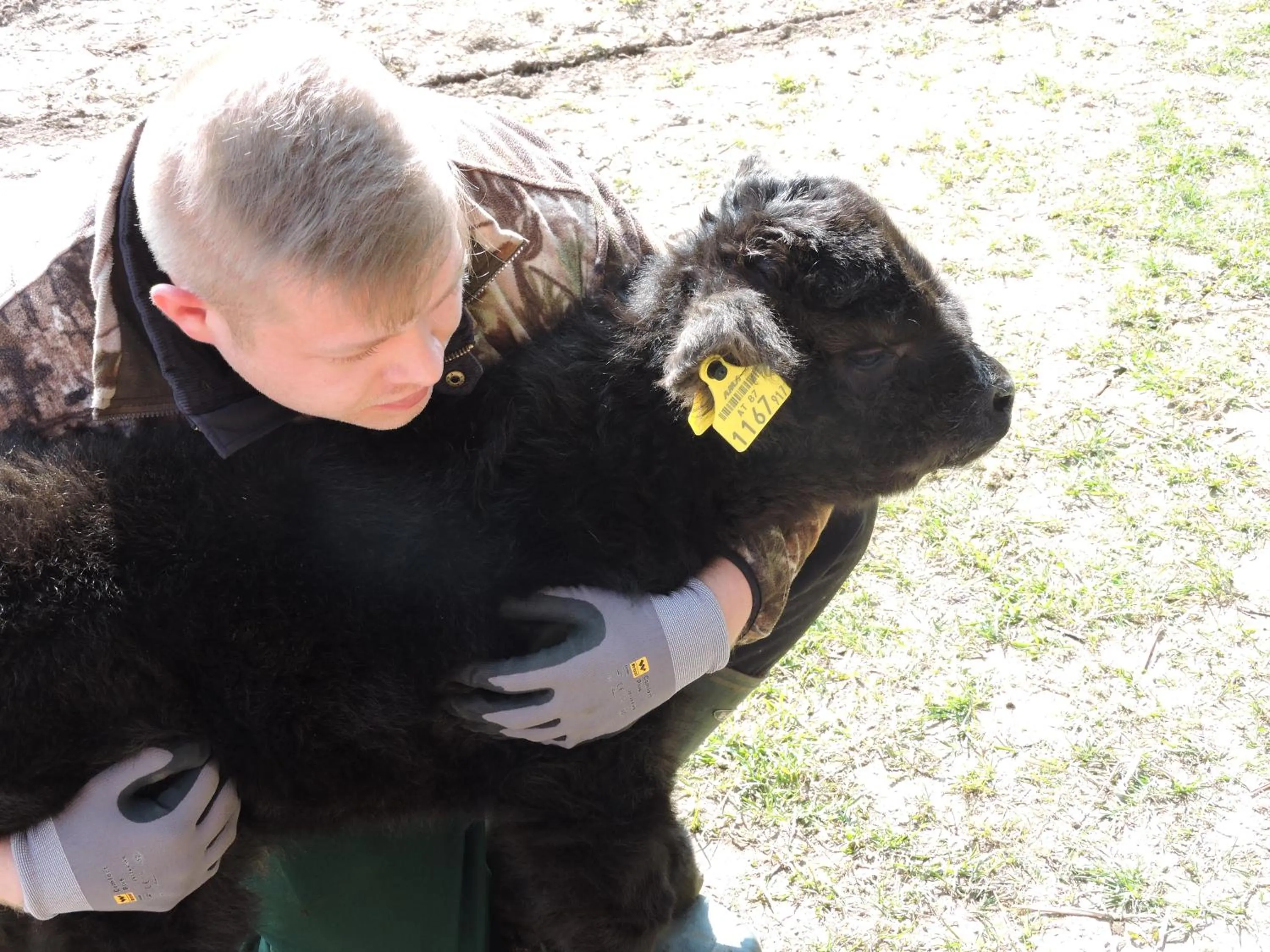Animals in Hotel Wachau