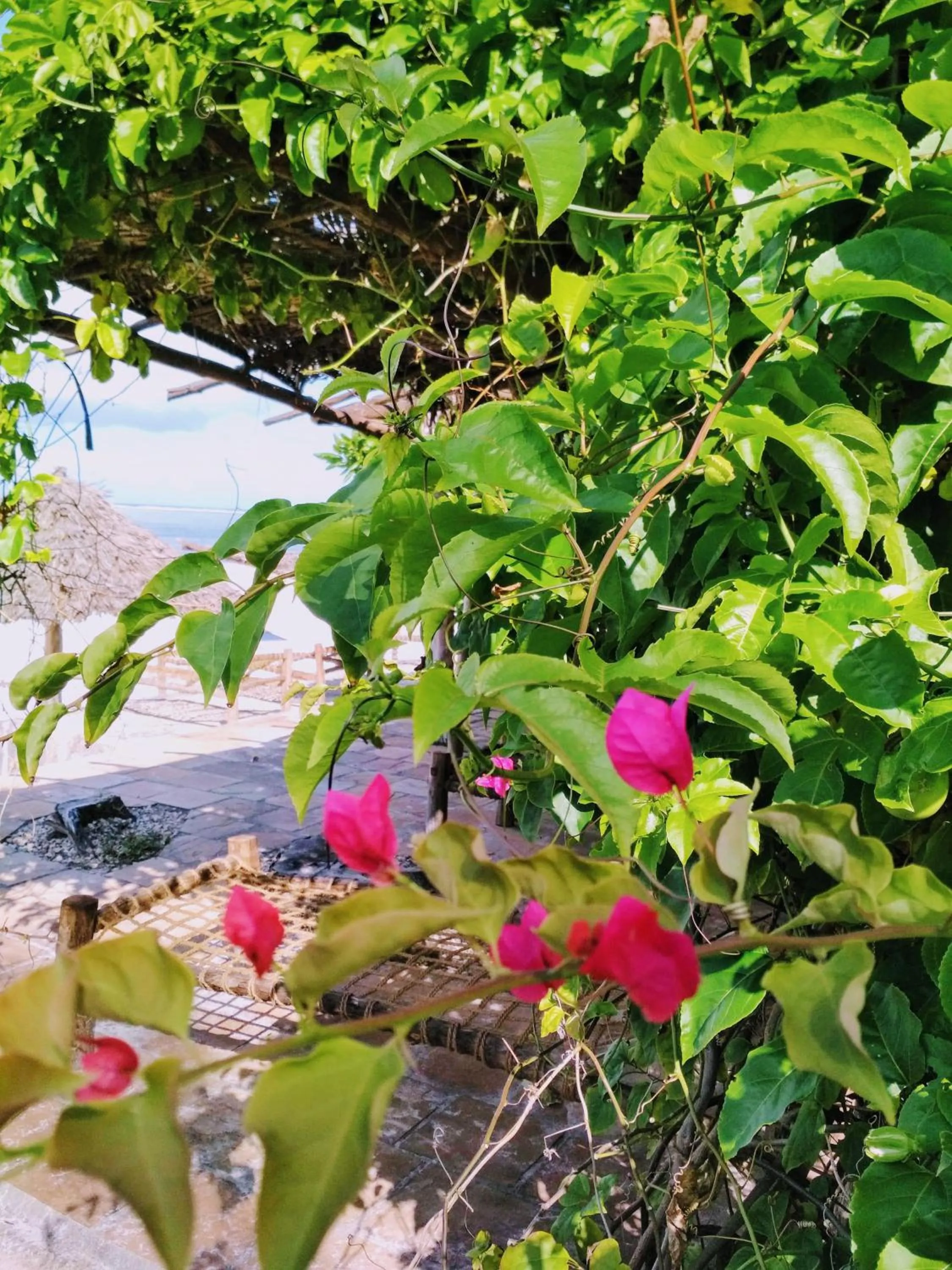 Panga Chumvi Beach Resort