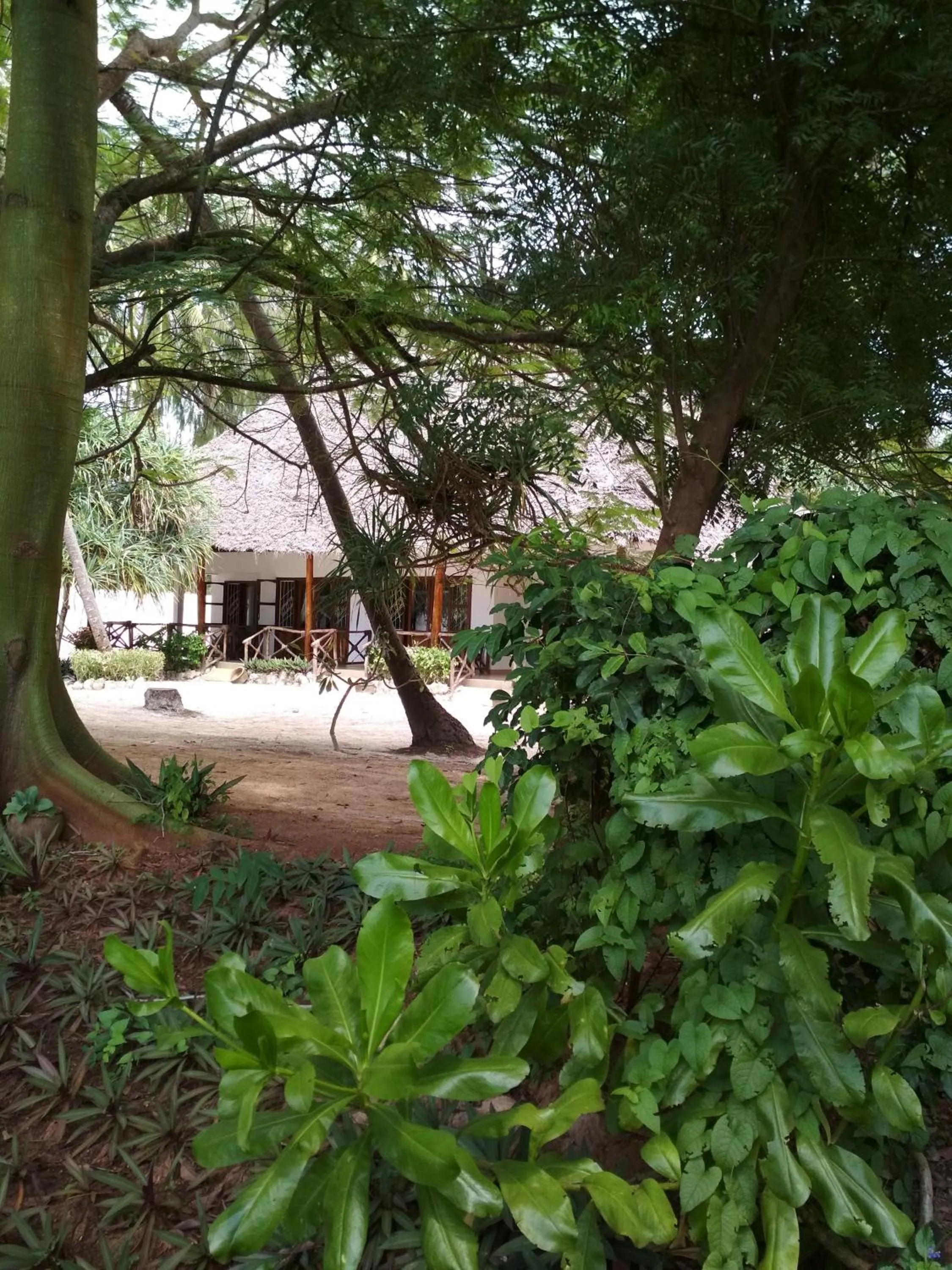 Panga Chumvi Beach Resort