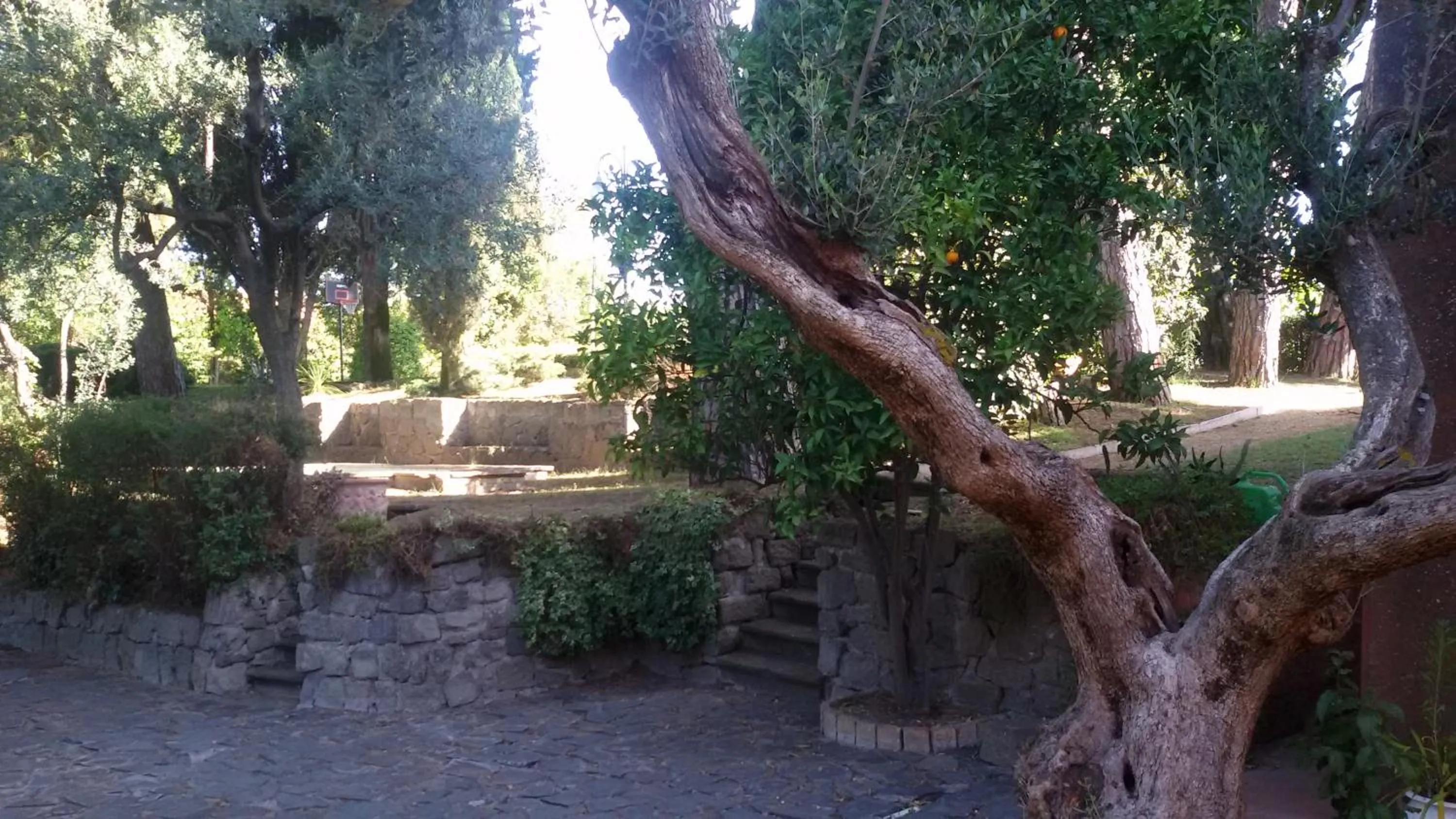 Garden view in La Dolce Casetta