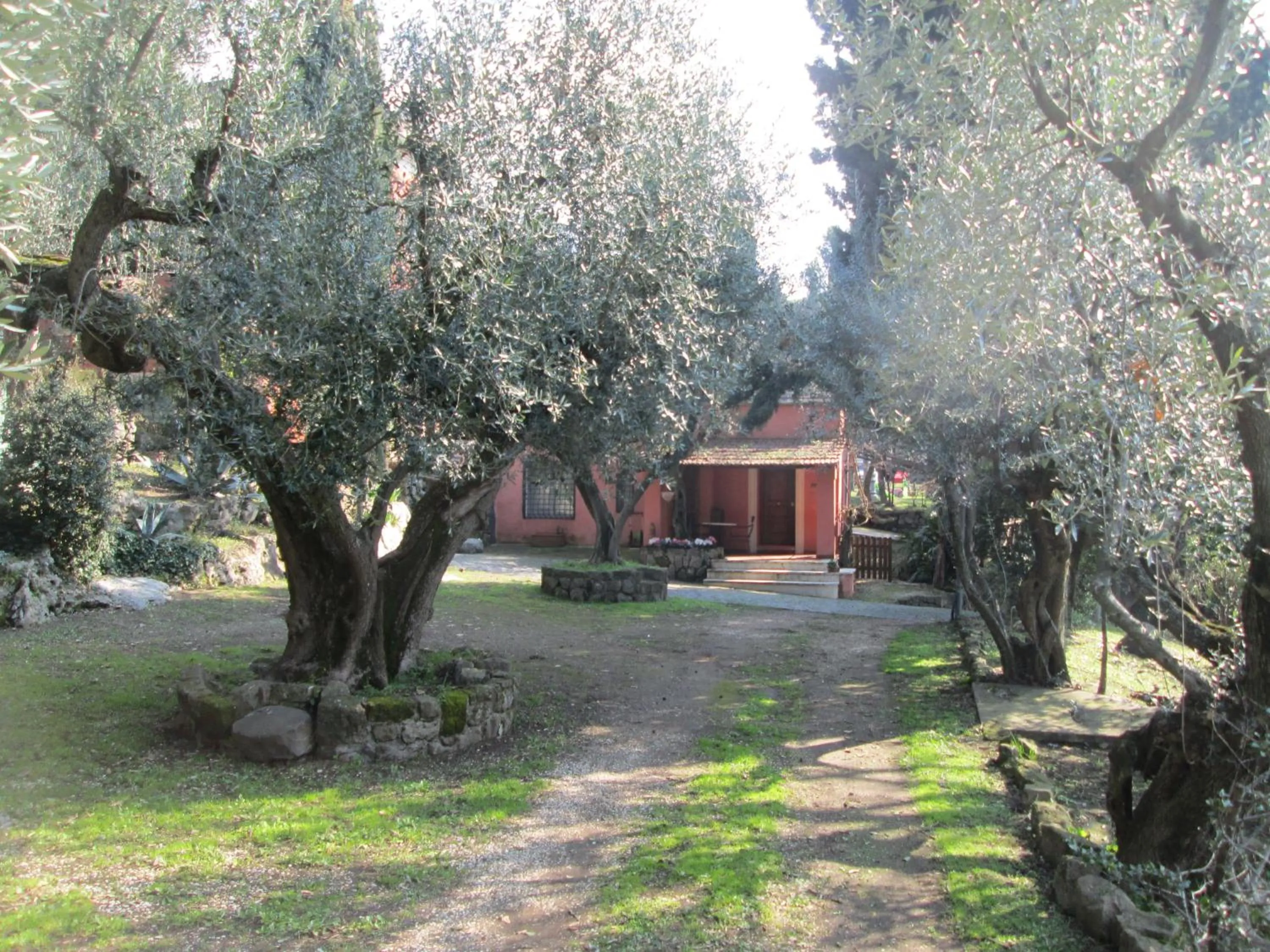 Garden in La Dolce Casetta