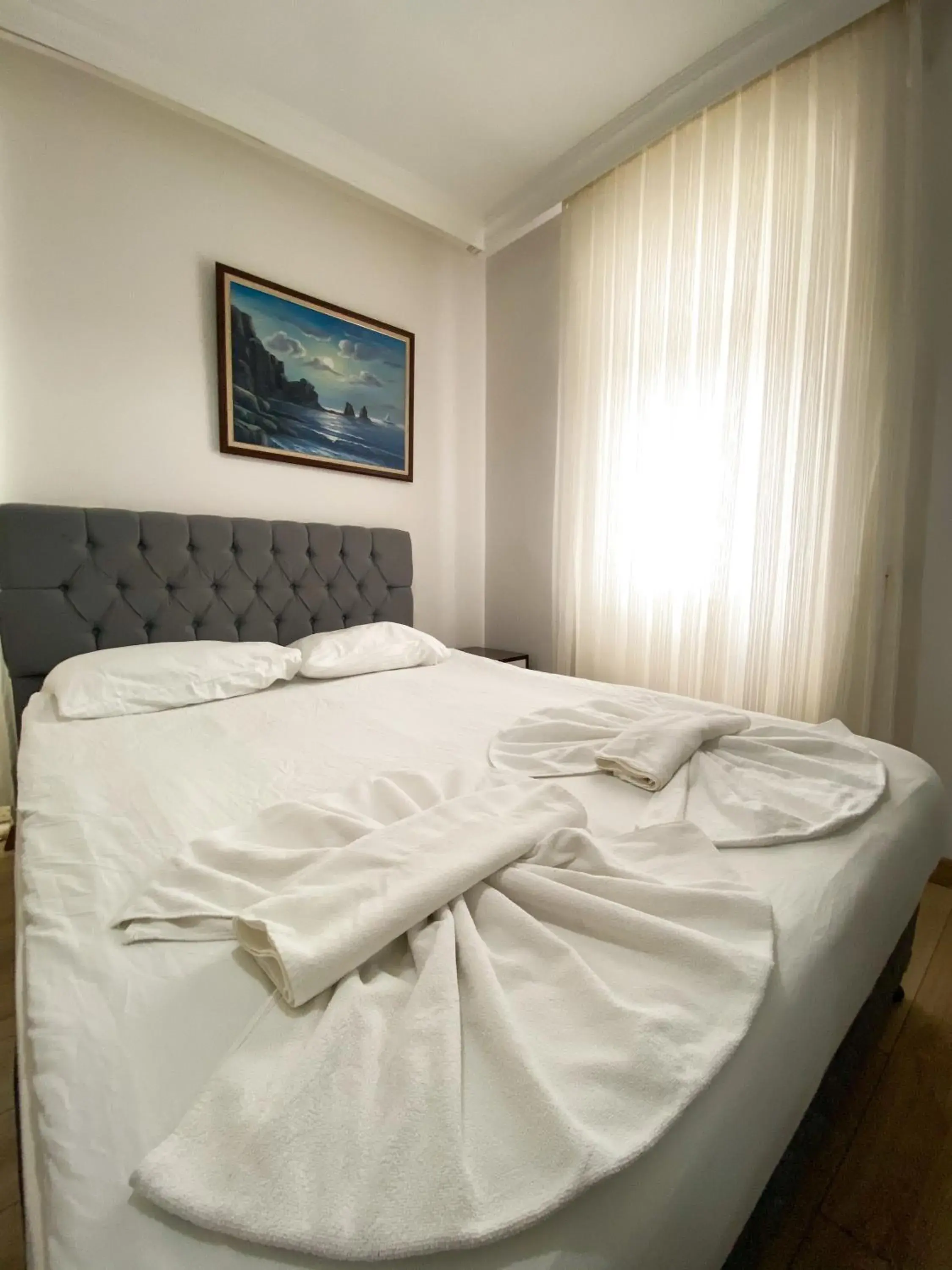 Large Double Room in Nergiz Boutique Hotel Large Double Room in Nergiz Boutique Hotel