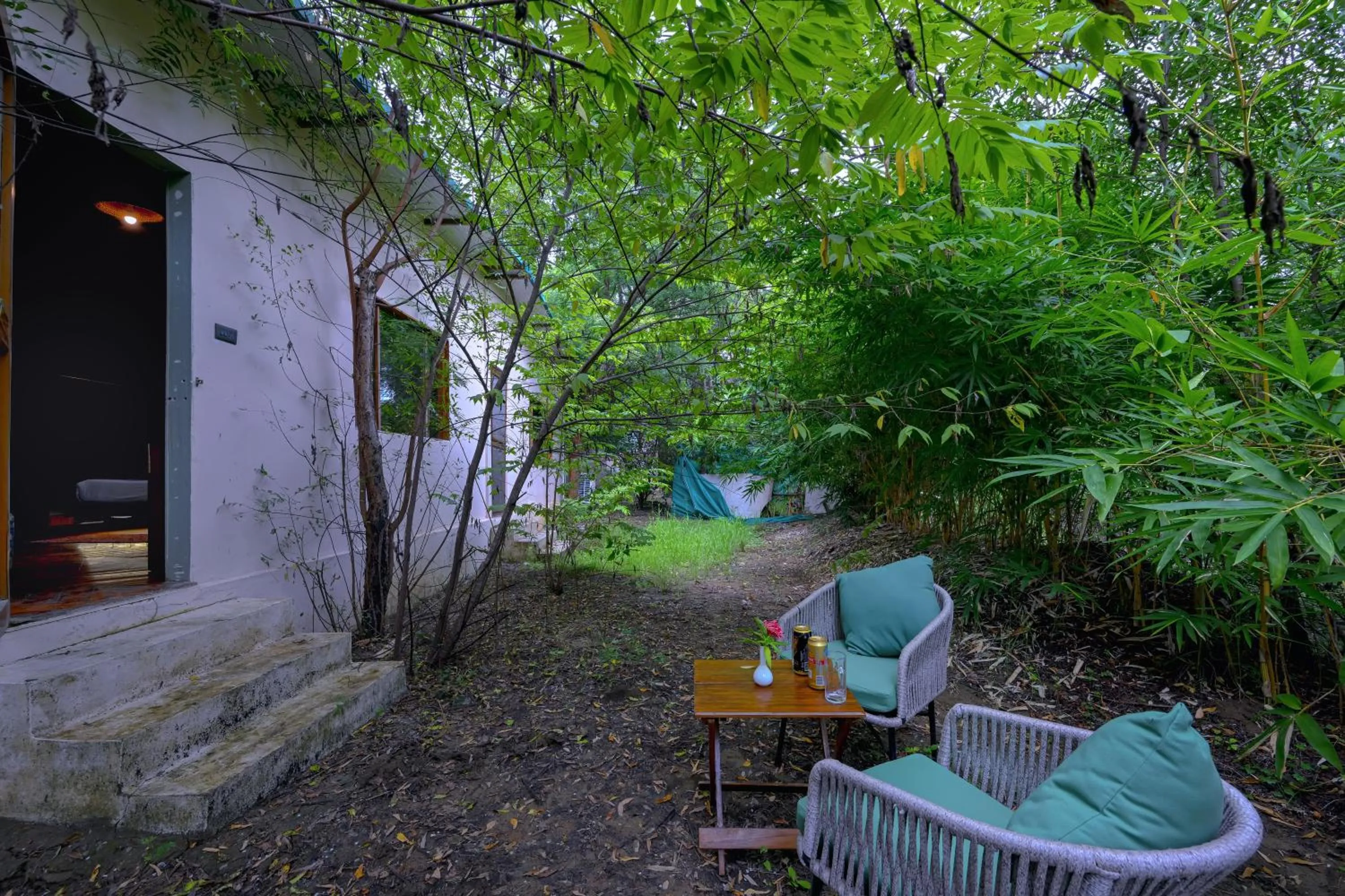 Guests in Tadoba Jungle Camp