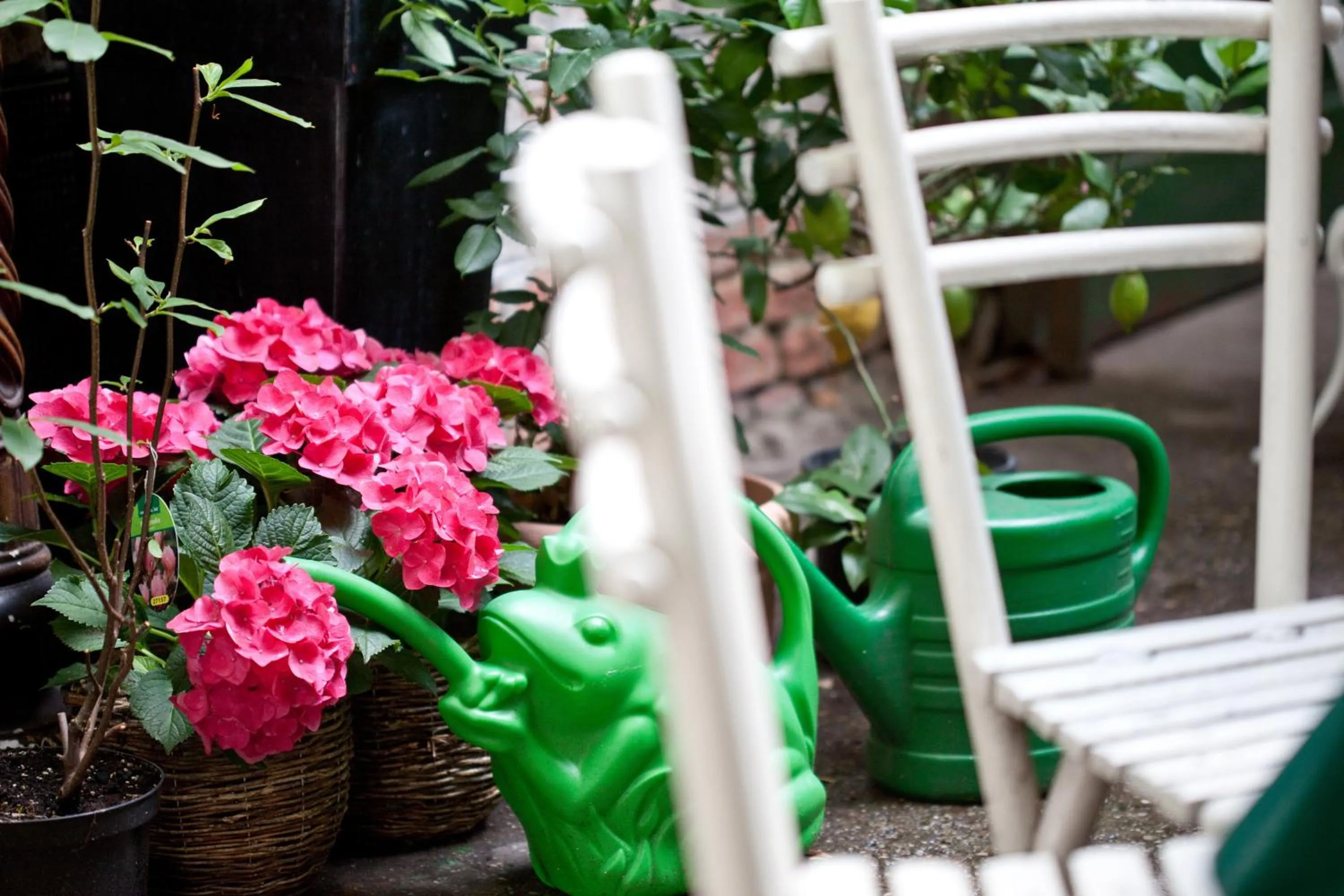 Decorative detail in Hotel Schwalbe