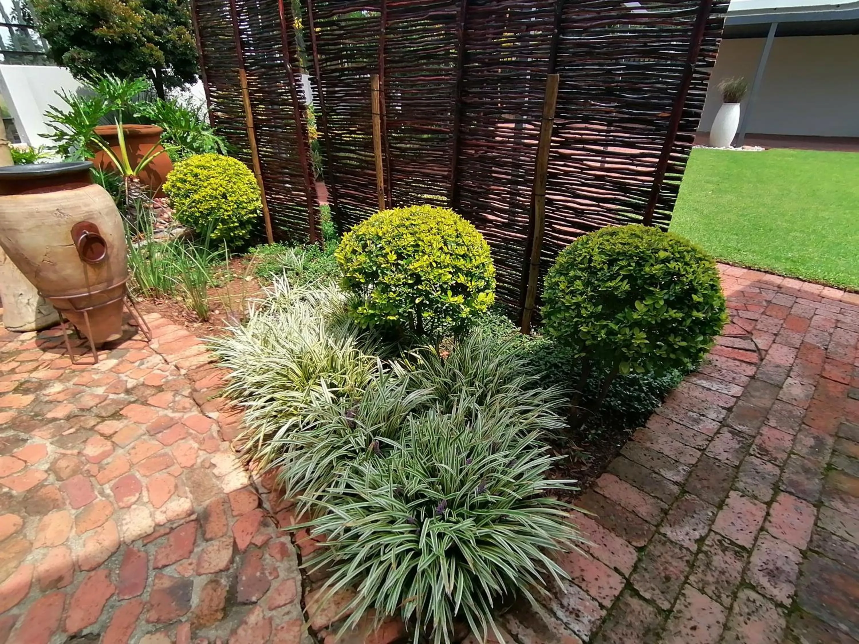 Garden in Jasmine Guest Cottage