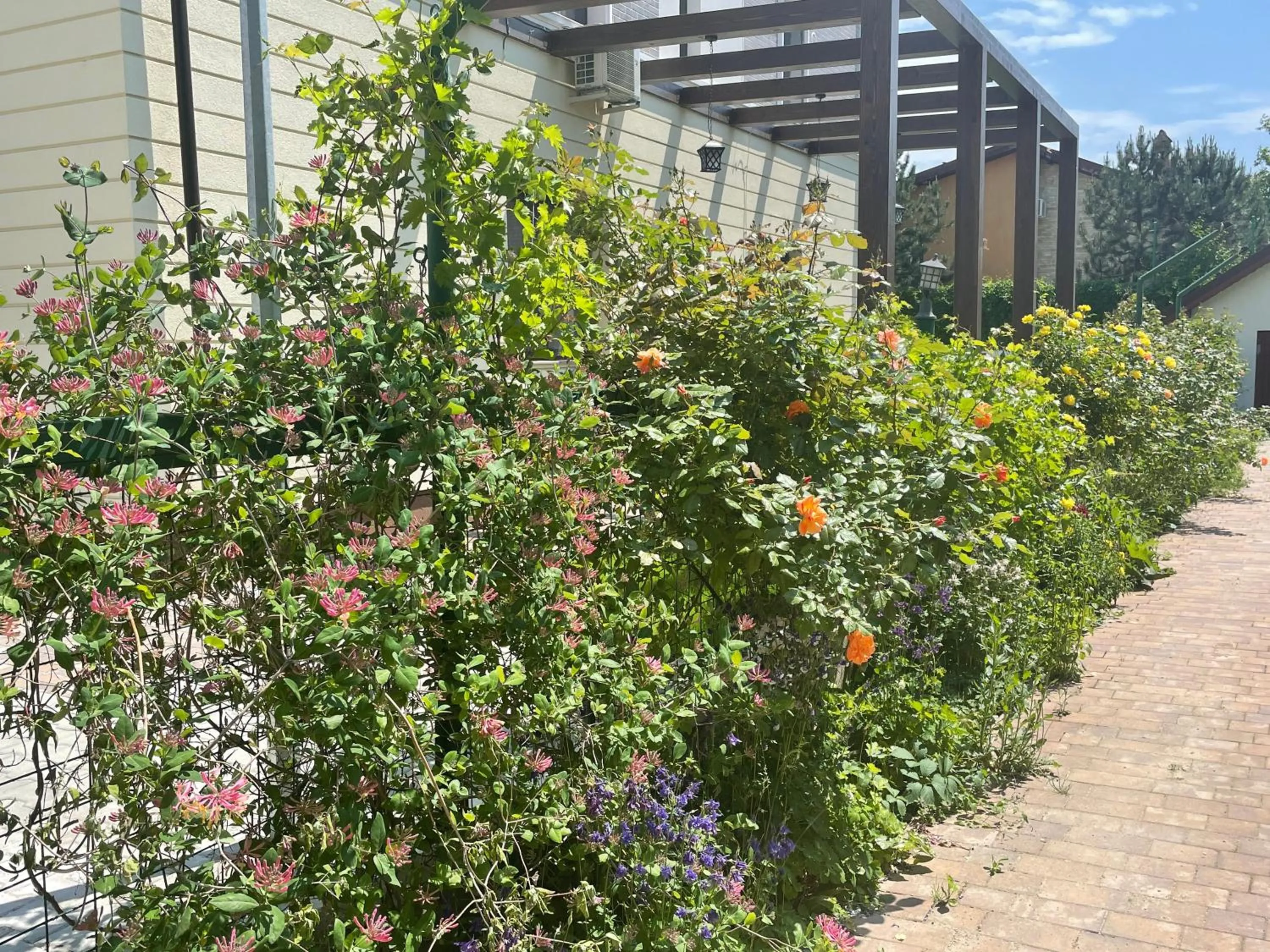 Property building in Iarca Inn