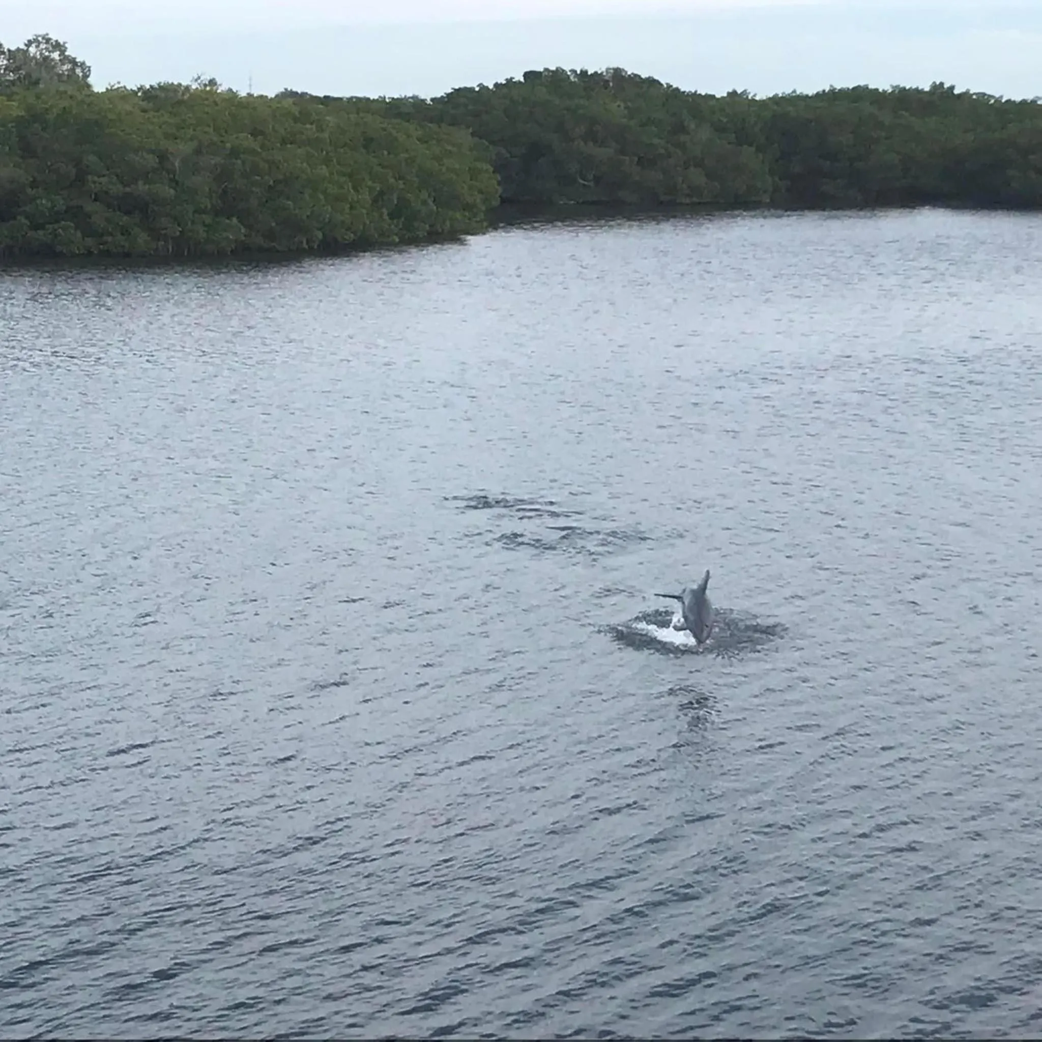 Day in The Blue Lagoon