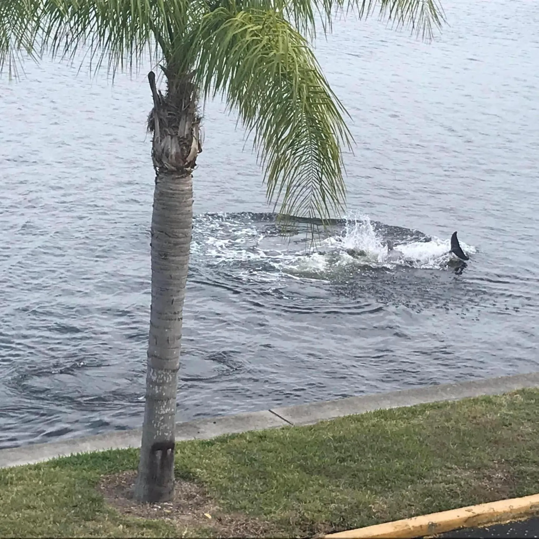 Day in The Blue Lagoon