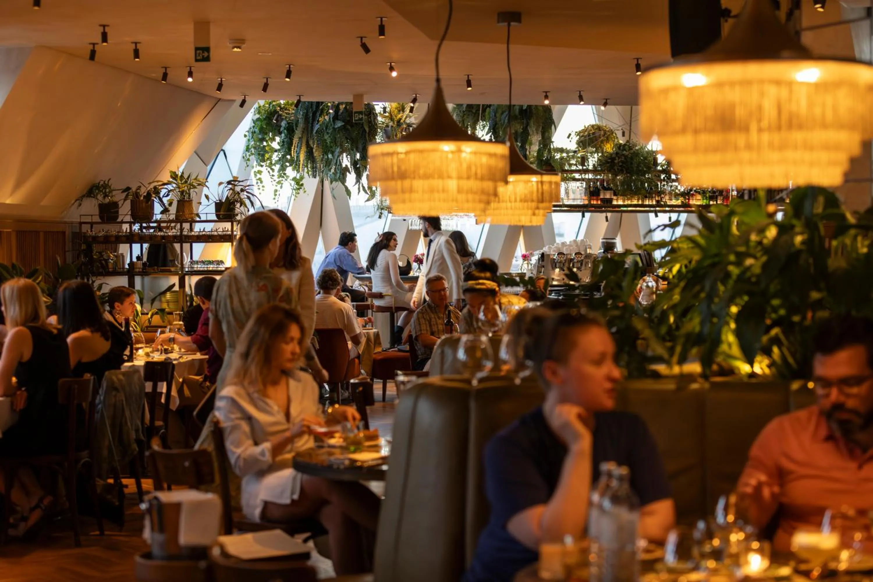 Restaurant/places to eat in Hotel MOTTO