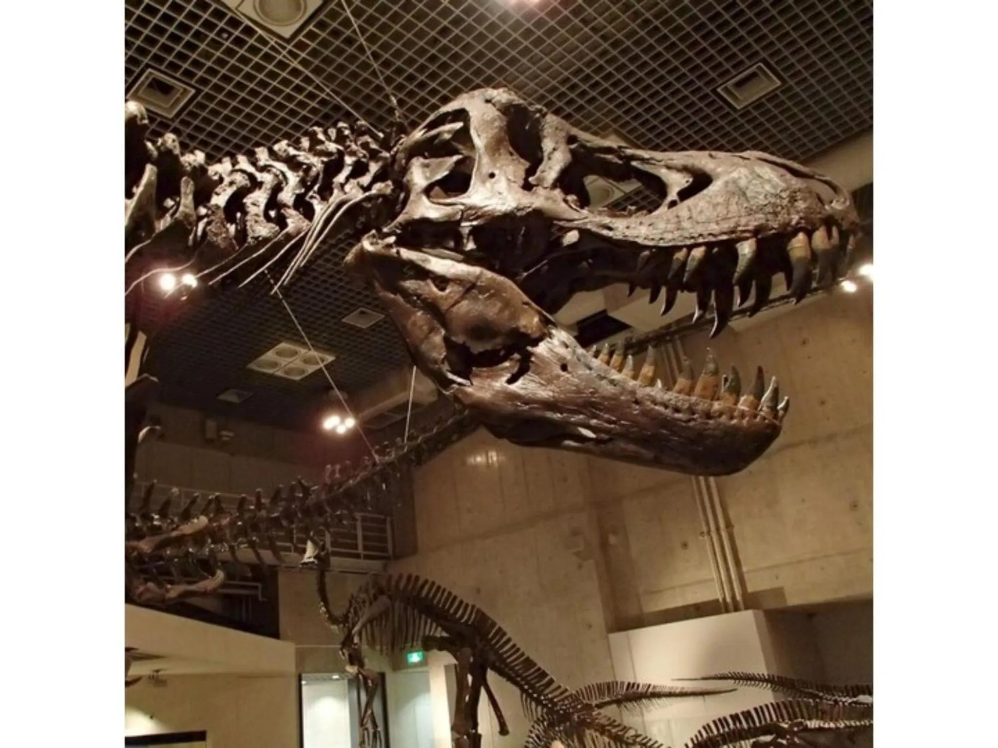 Hotel Suntargas Ueno - Vacation STAY 08478v