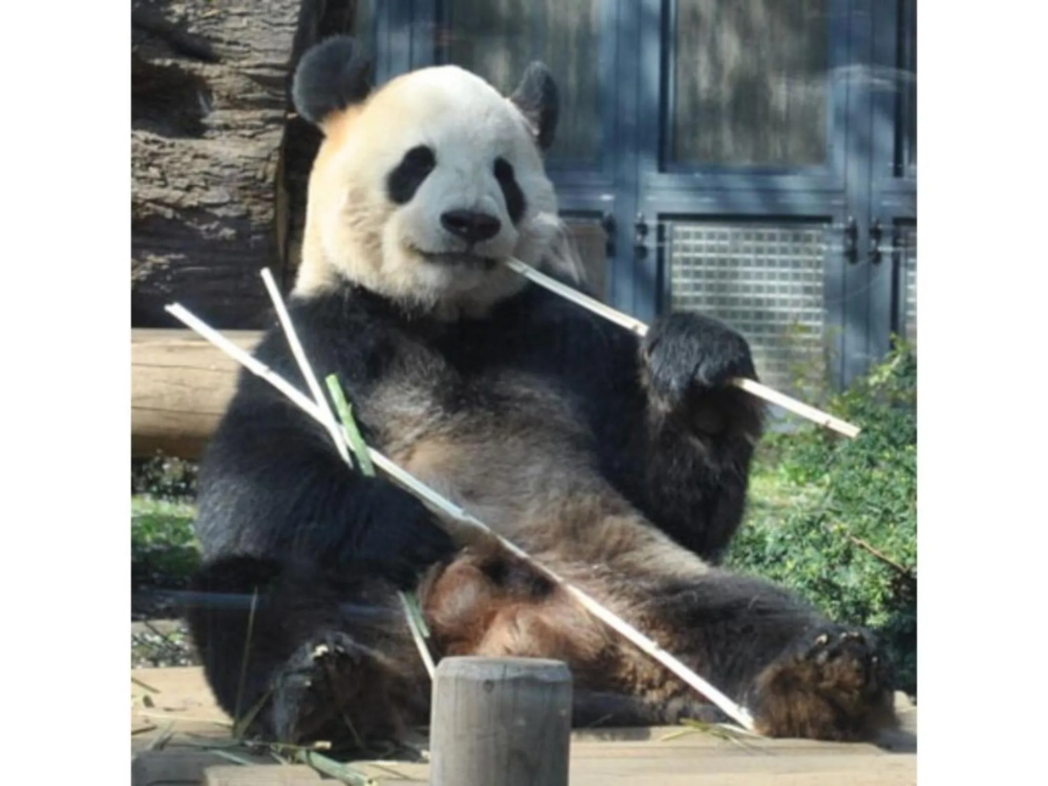 Hotel Suntargas Ueno - Vacation STAY 08478v