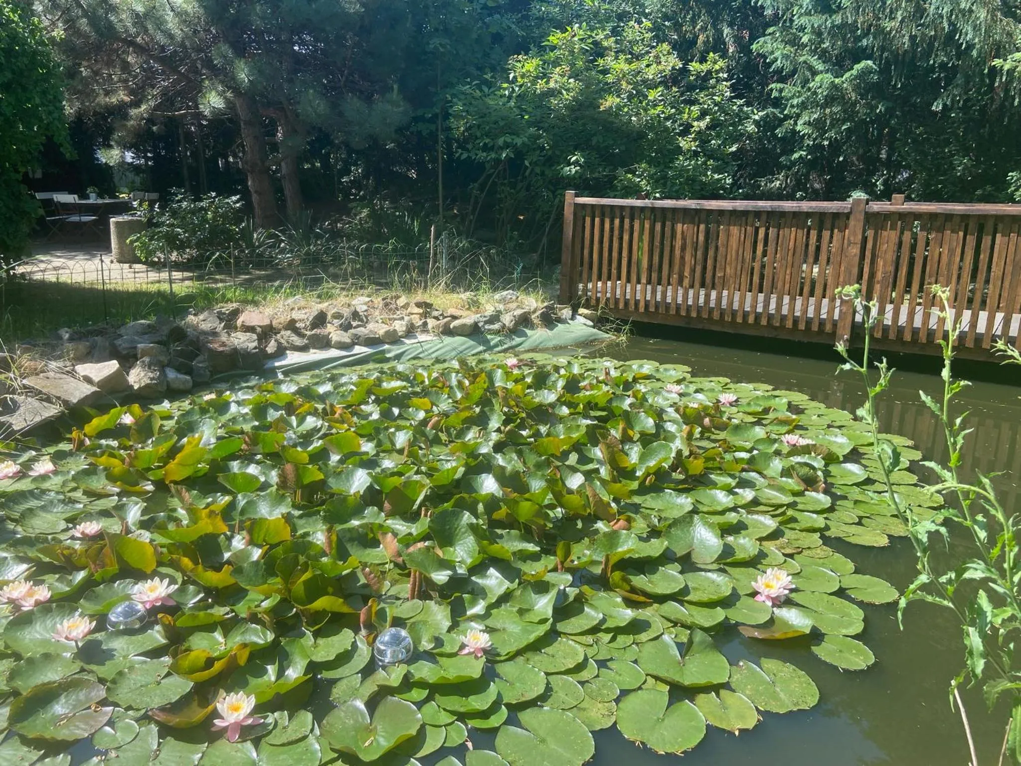 Garden in Harzhotel Warnstedter Krug