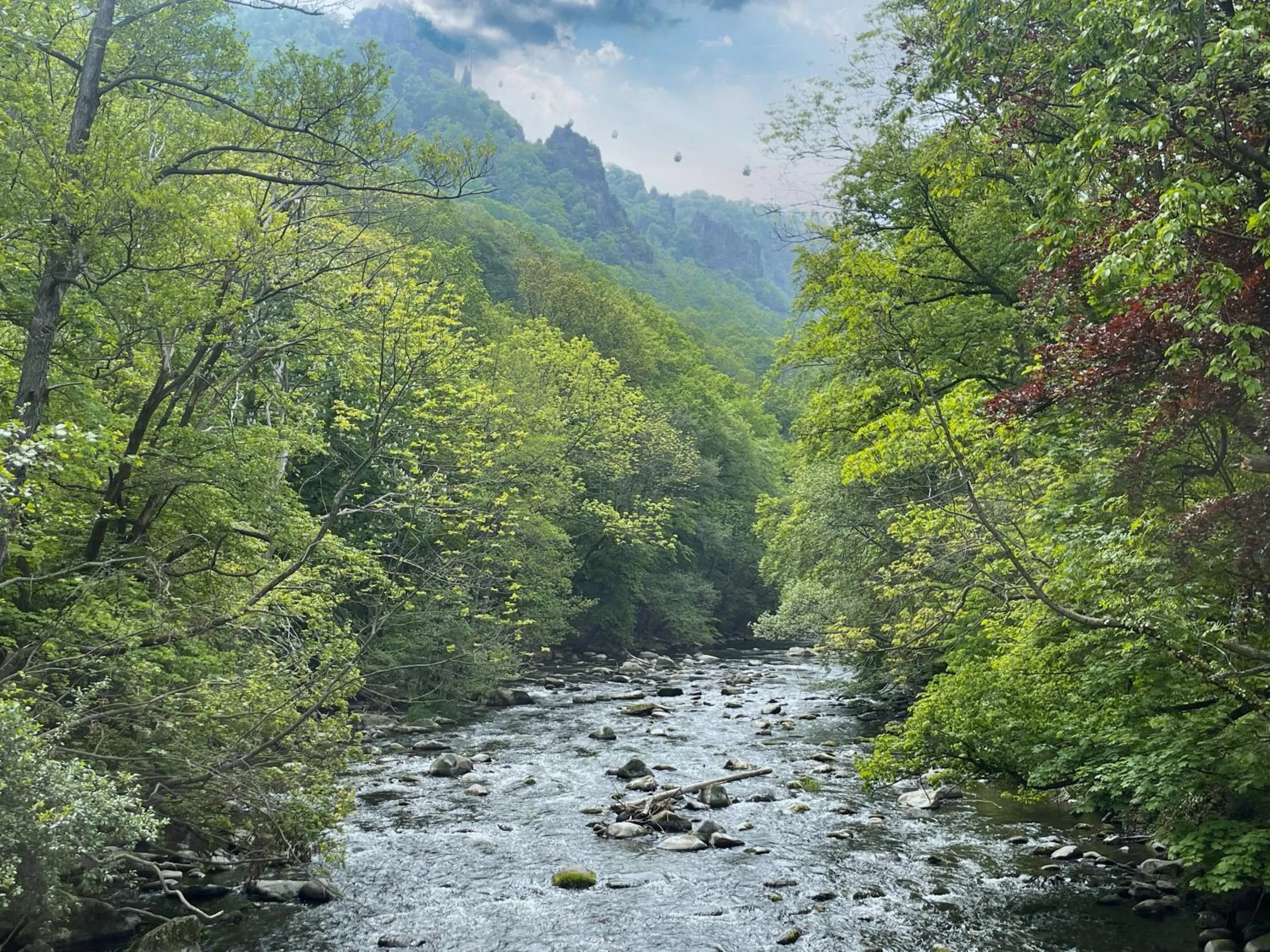 Harzhotel Warnstedter Krug