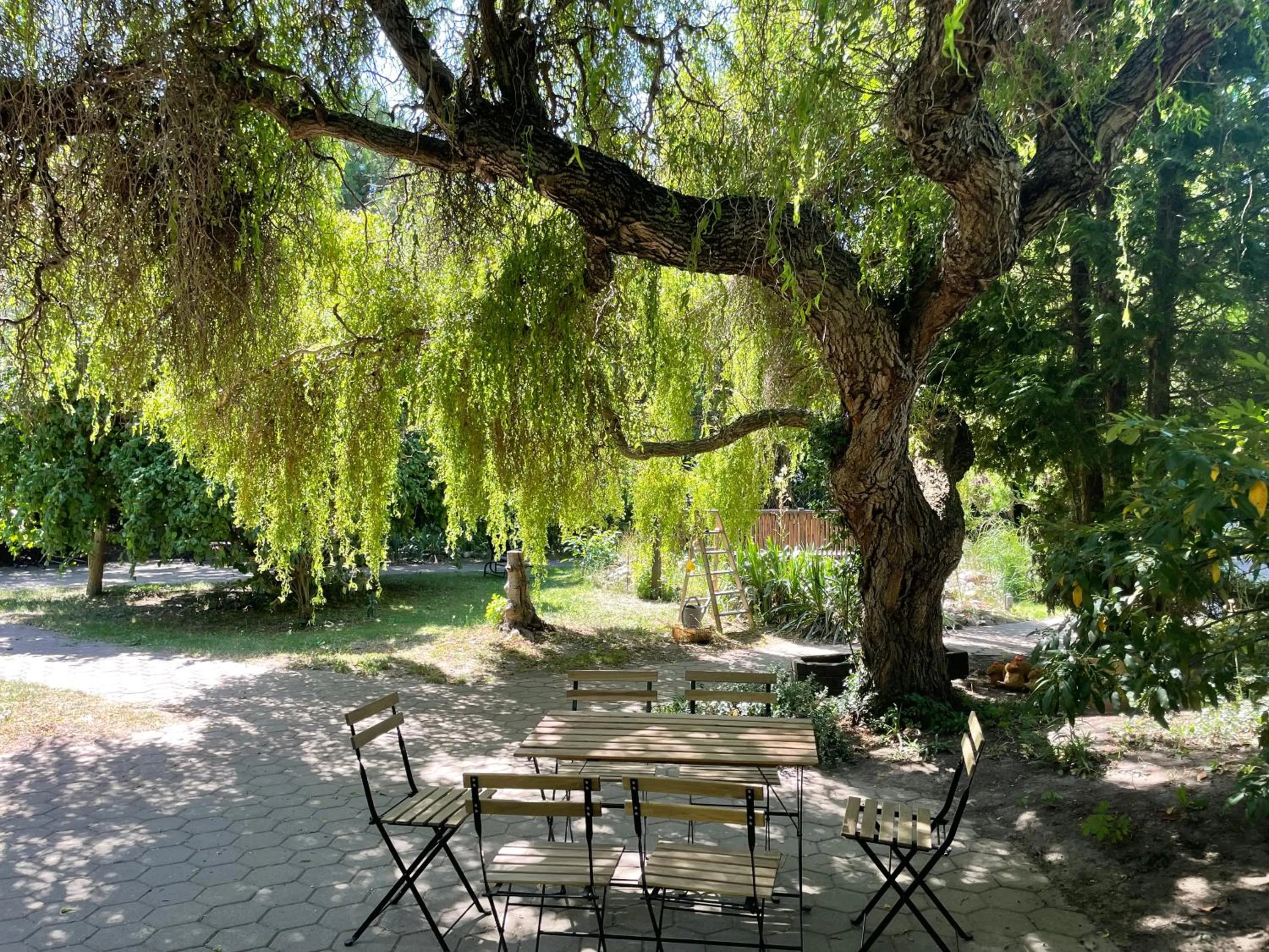 Garden in Harzhotel Warnstedter Krug