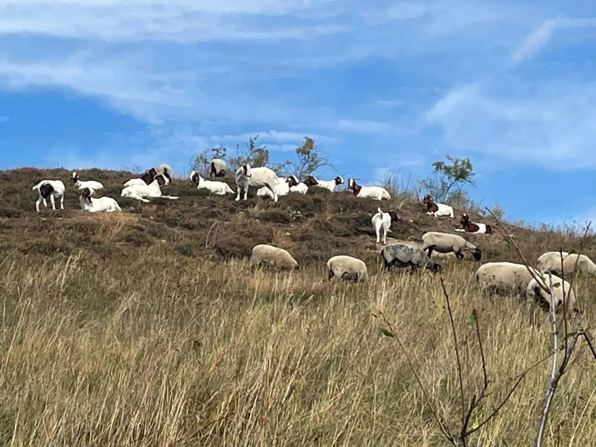 Natural landscape in Harzhotel Warnstedter Krug