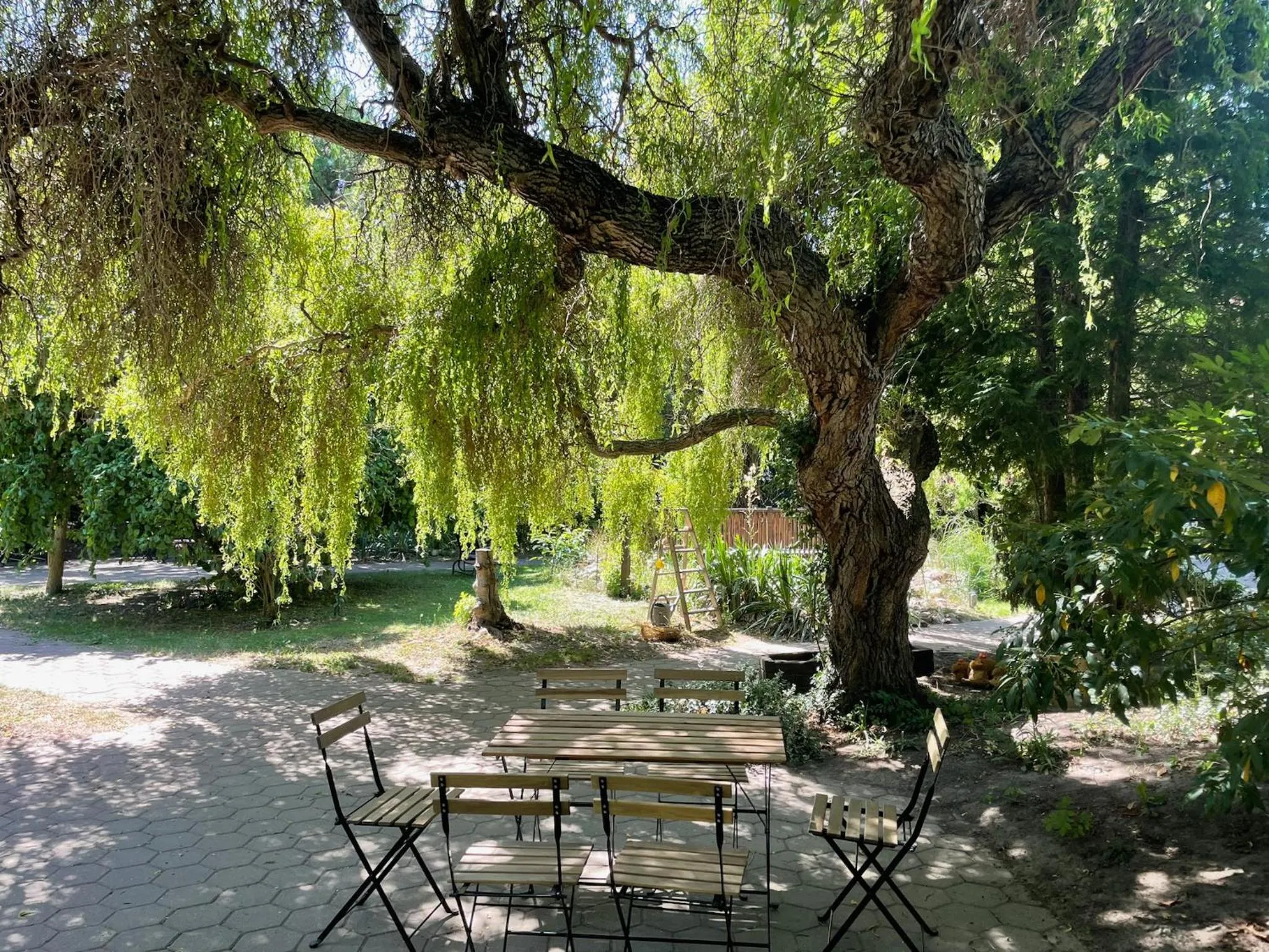 Harzhotel Warnstedter Krug