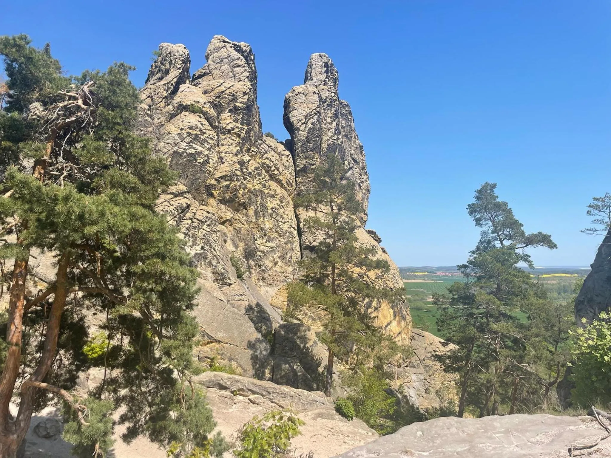 Harzhotel Warnstedter Krug