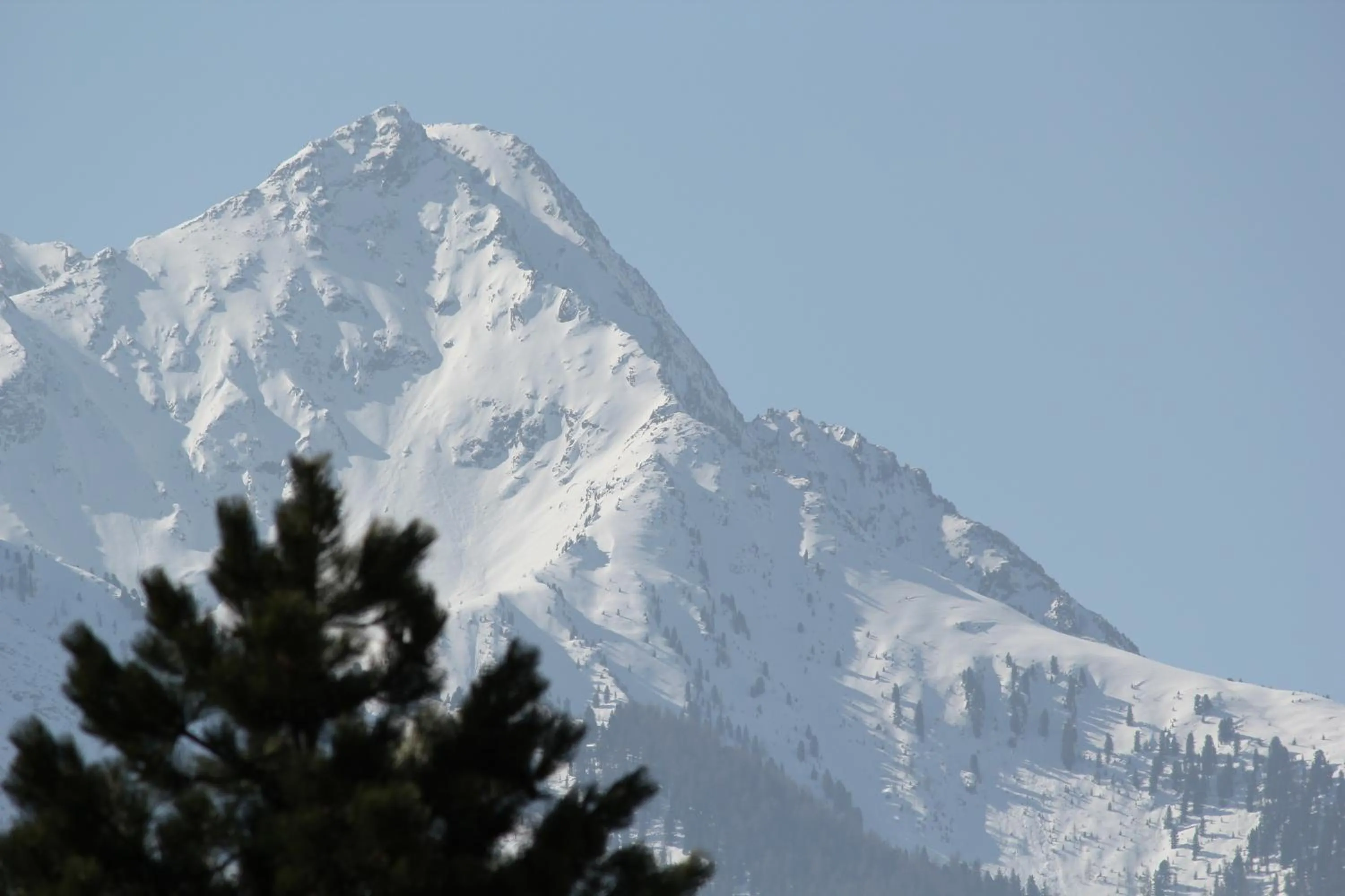 Area and facilities in Hotel Garni Hubertus-Nostalgie & Charme
