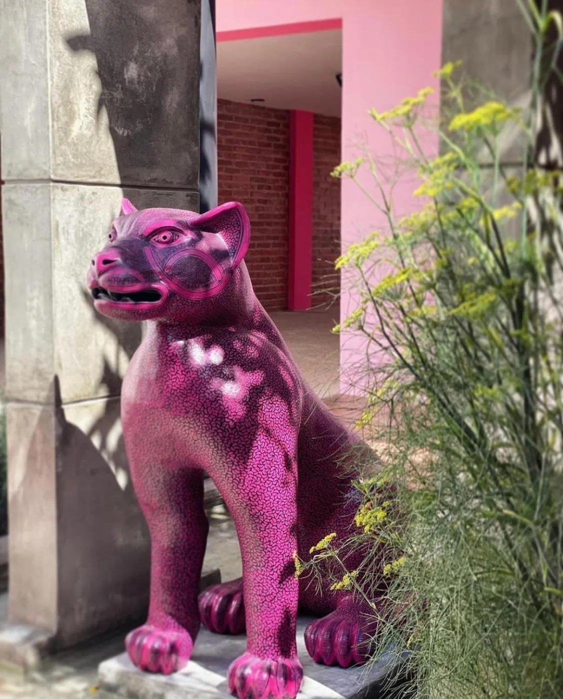 Off site in Casa Rosa Hotel & Spa