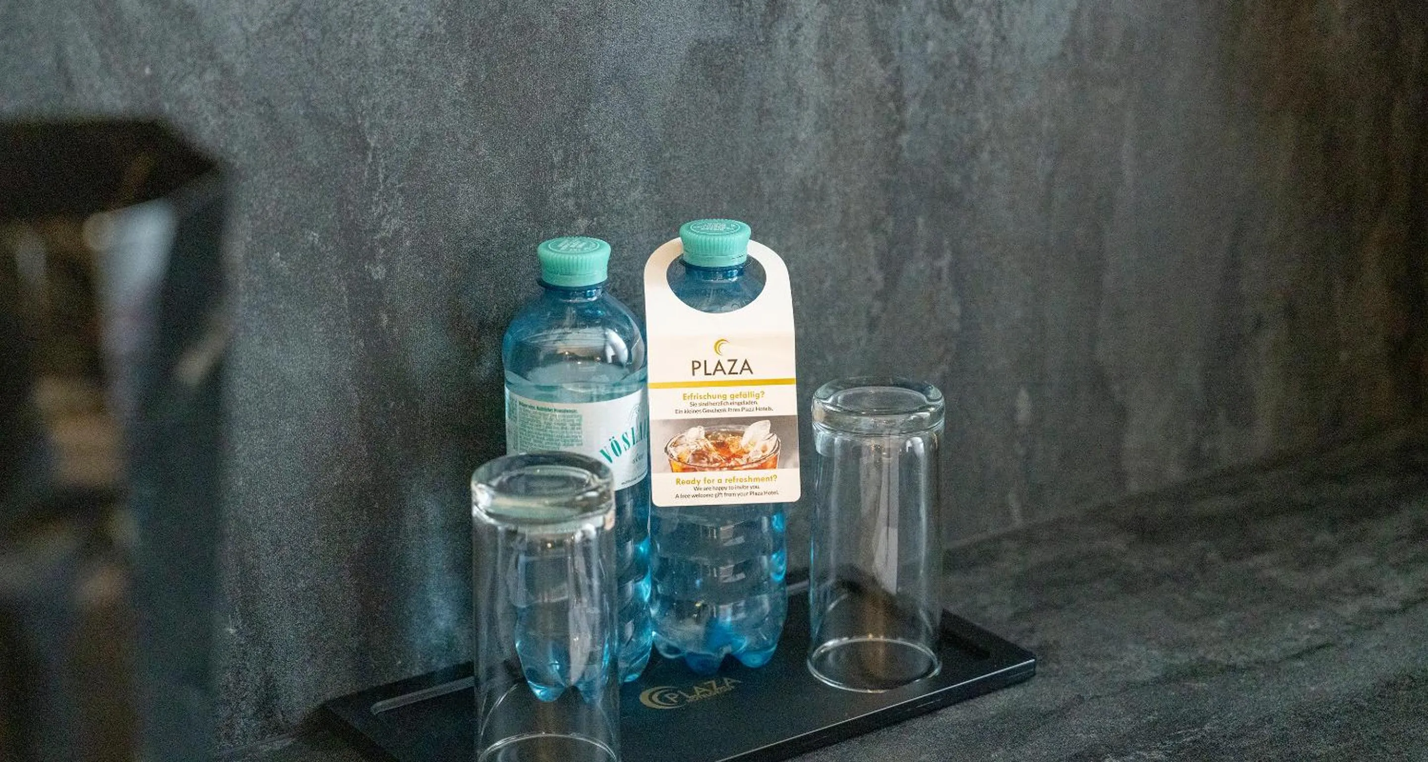 Drinks in PLAZA INN Salzburg City