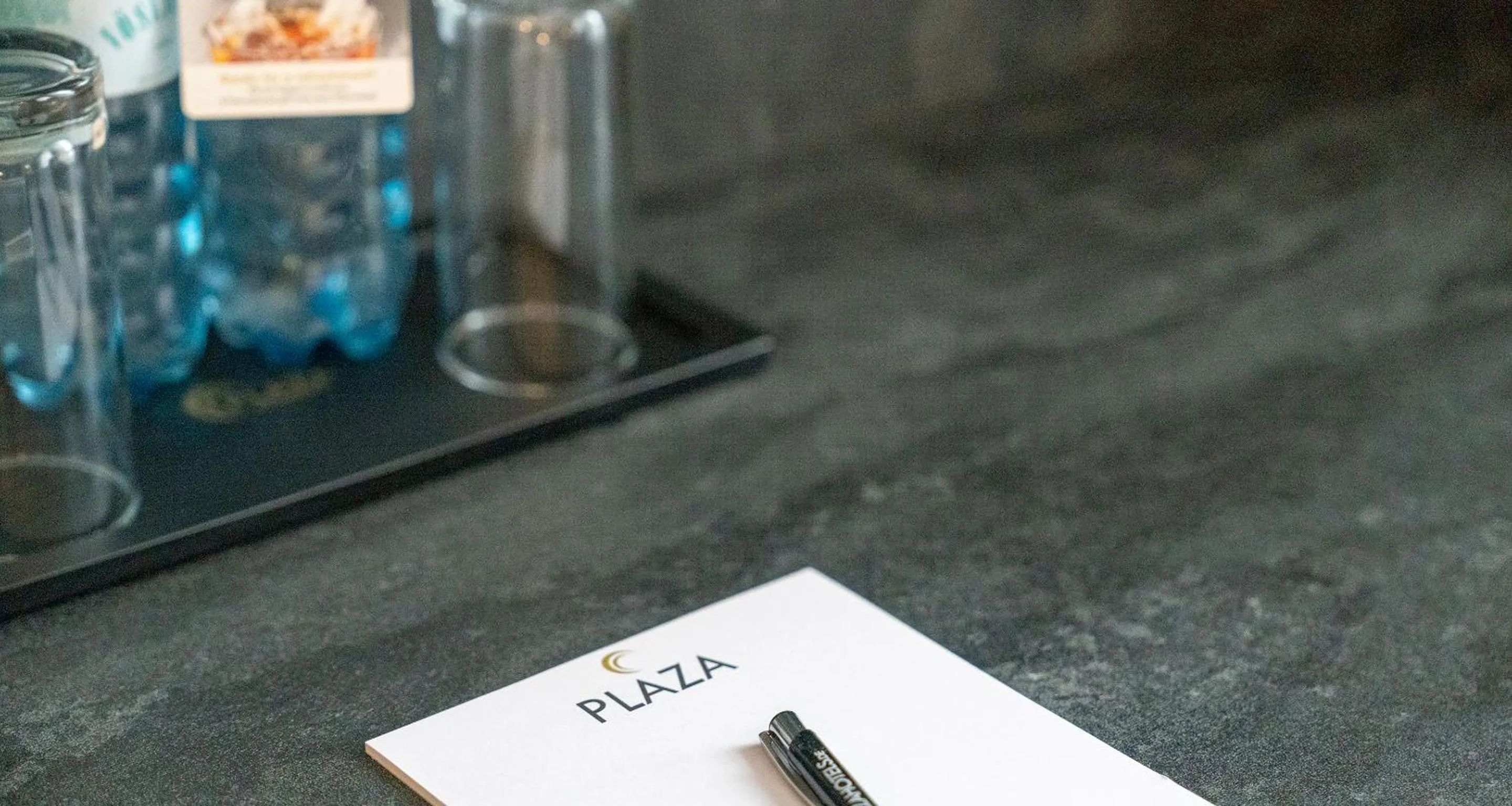 Decorative detail in PLAZA INN Salzburg City