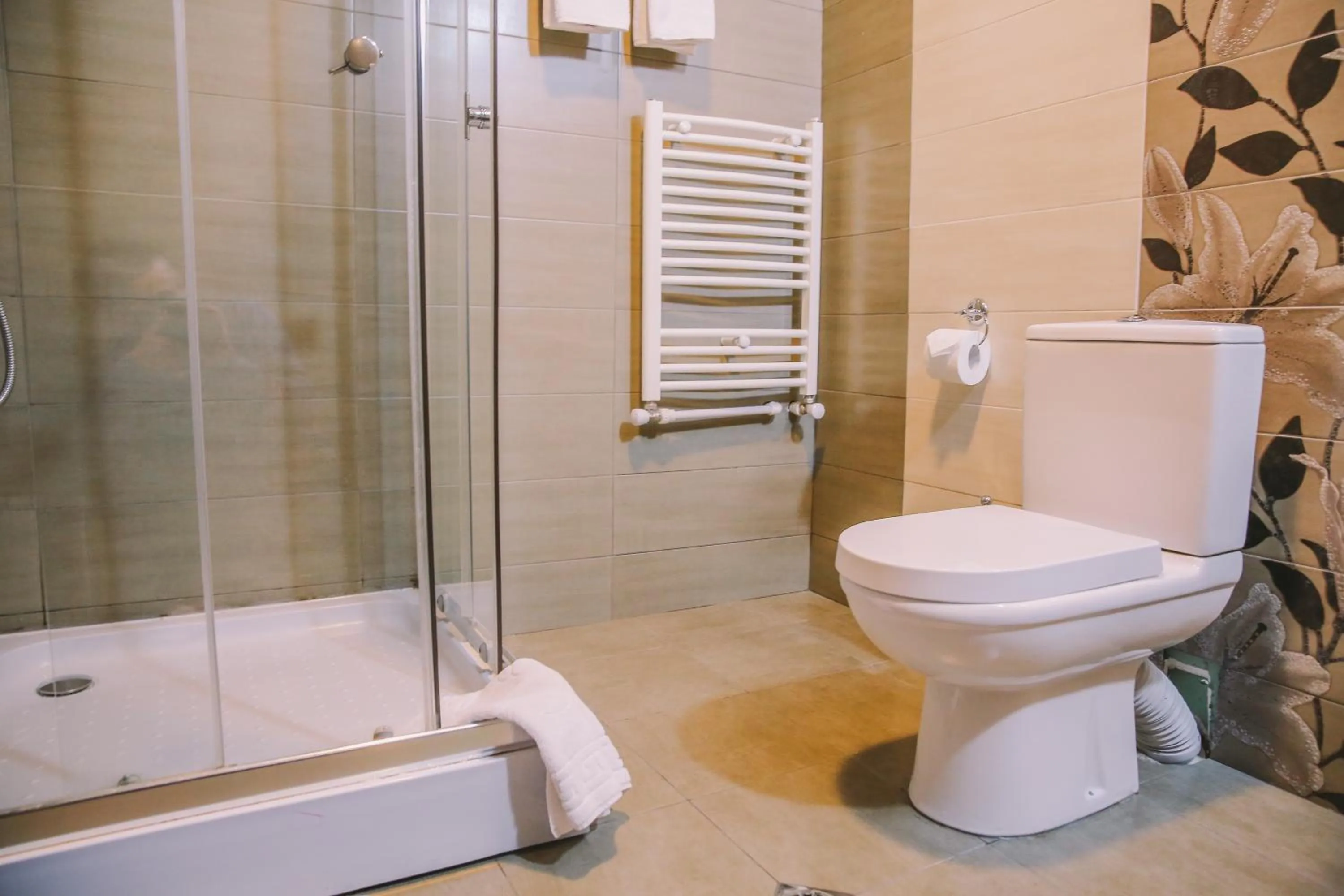 Shower in Hotel GoodAura