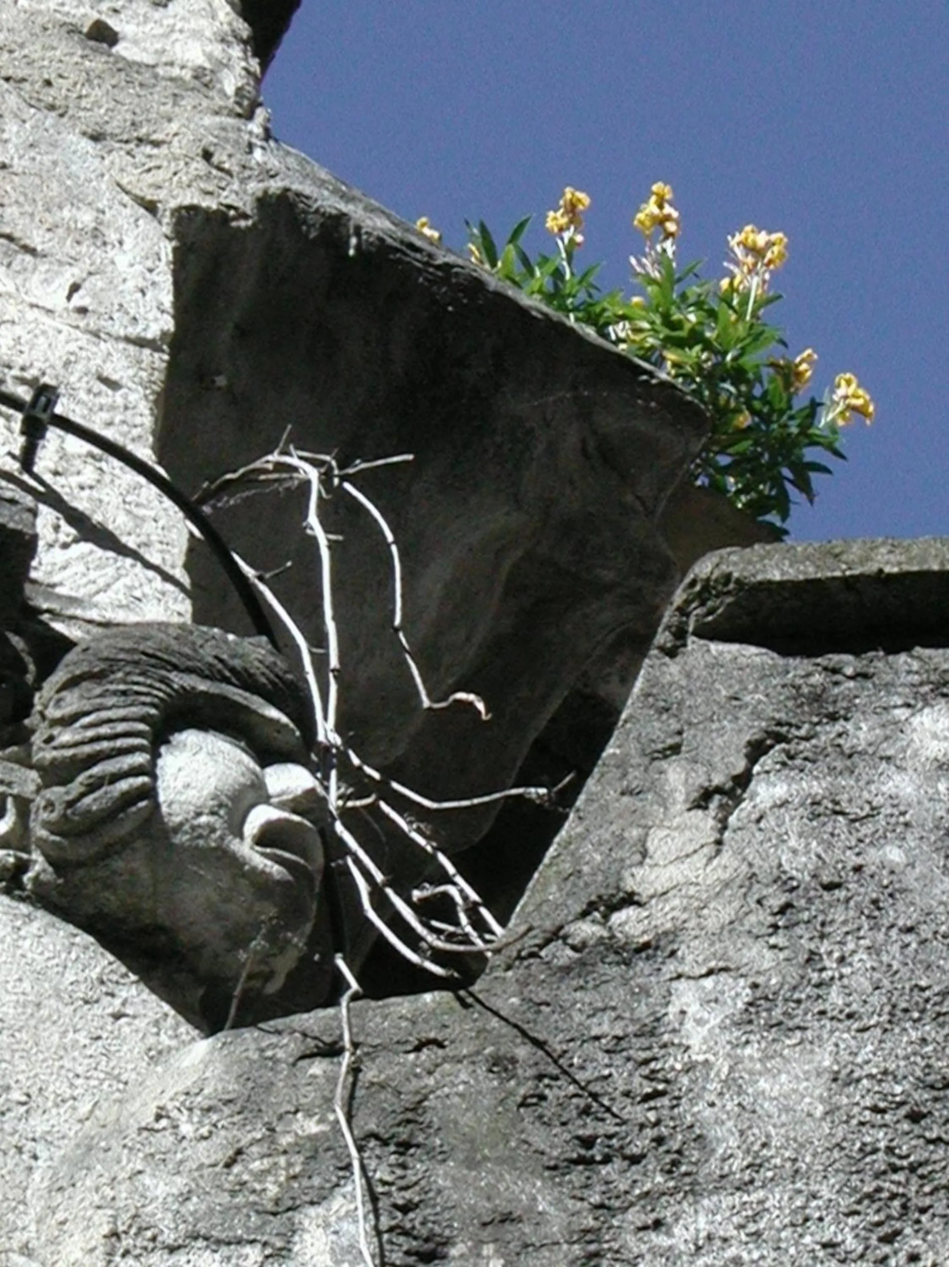 Off site in Hôtel Restaurant Logis Le Relais du Vivarais