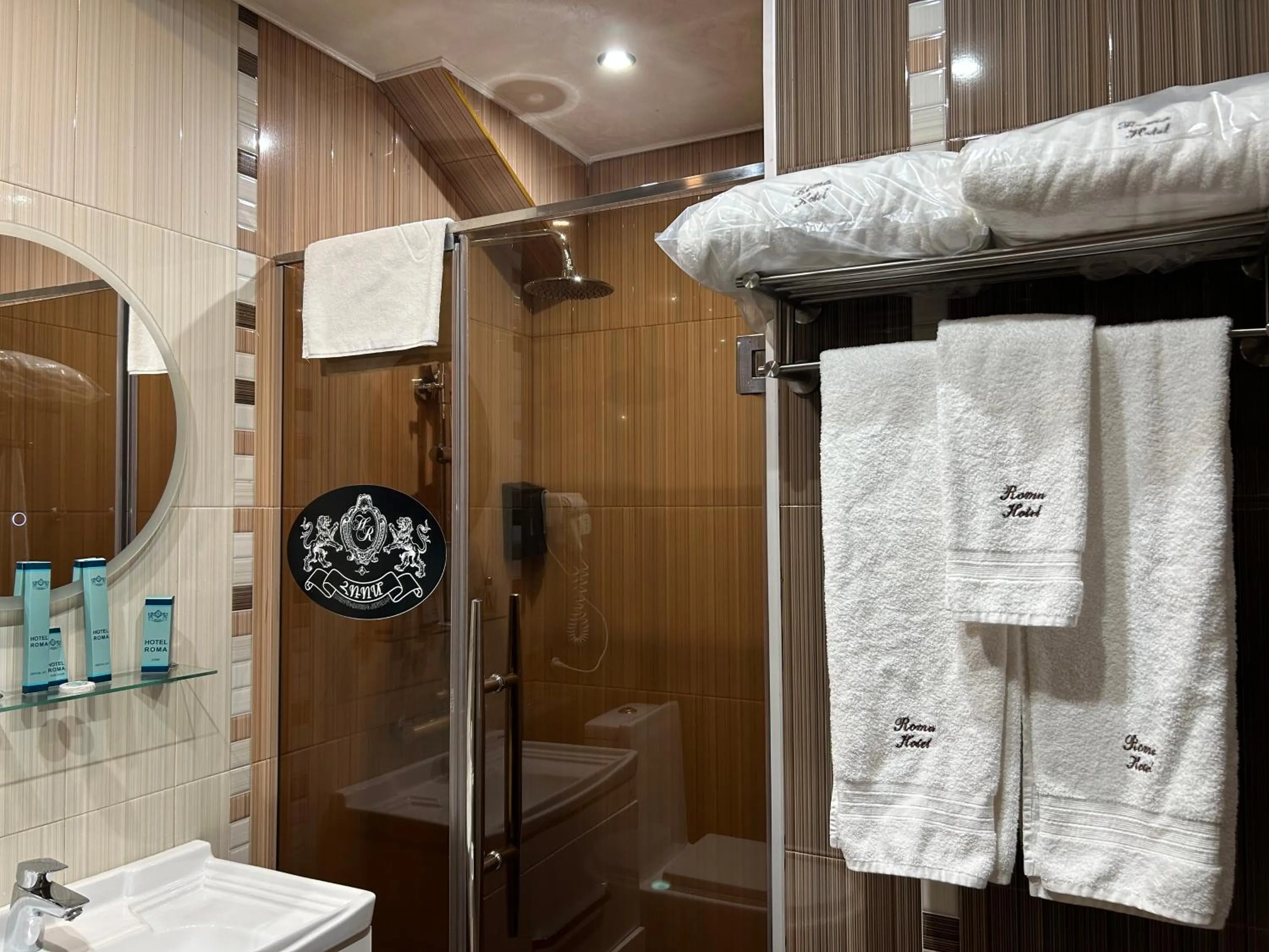 Shower in Hotel Roma & Tours