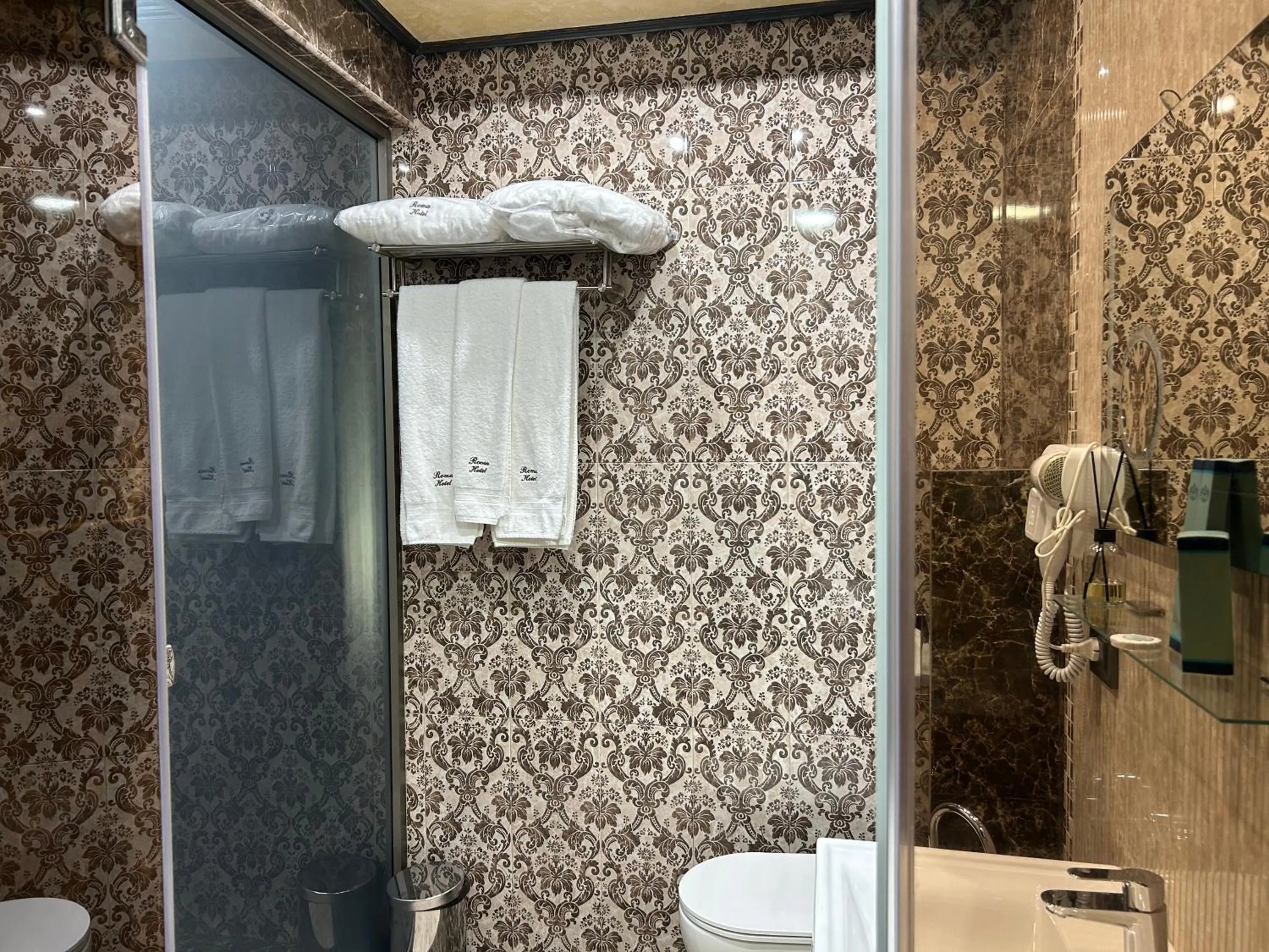 Shower in Hotel Roma & Tours