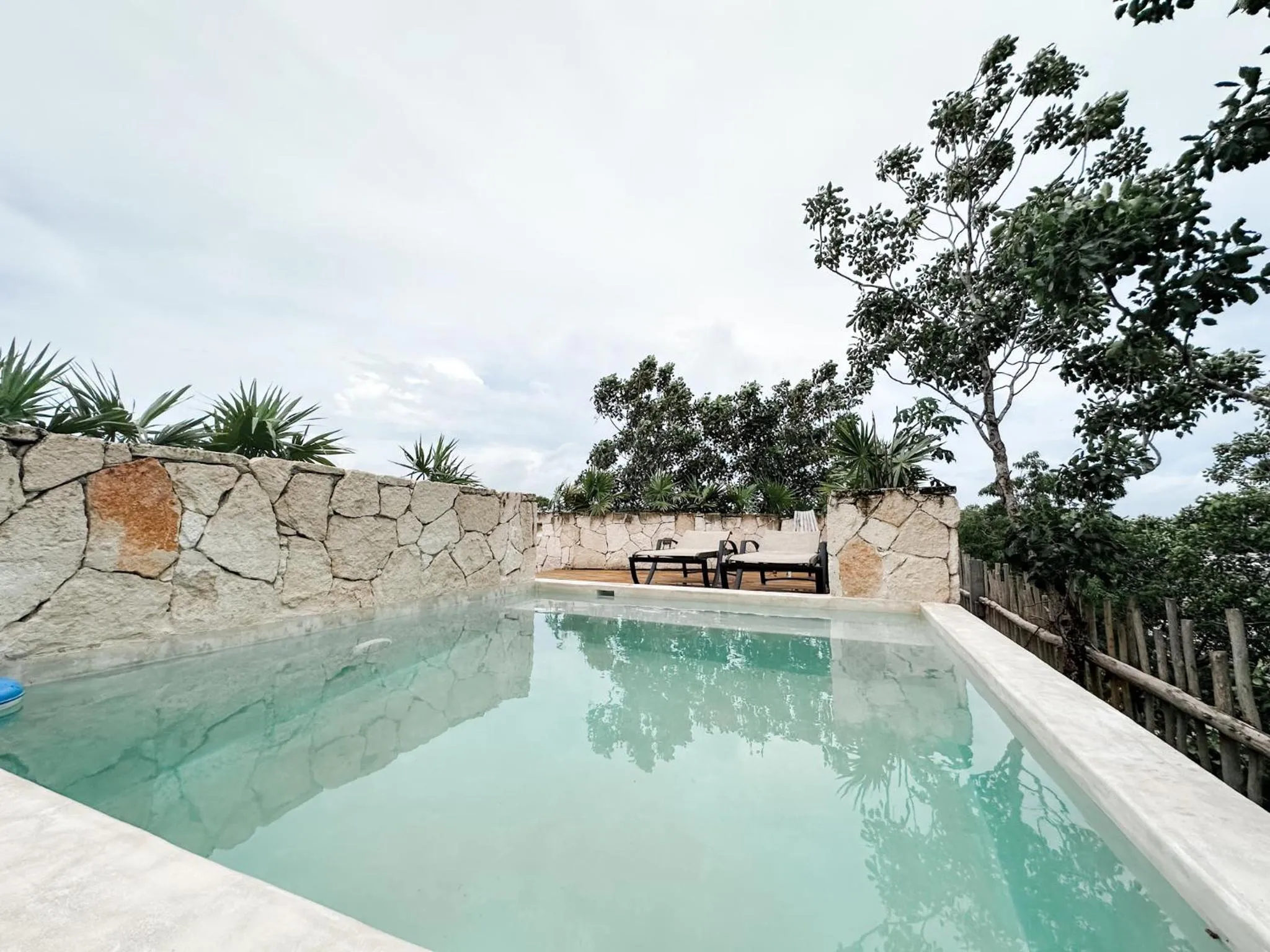 Day in Vida Jungle Boho Apart 14 with special fee to access Hotel Bardo