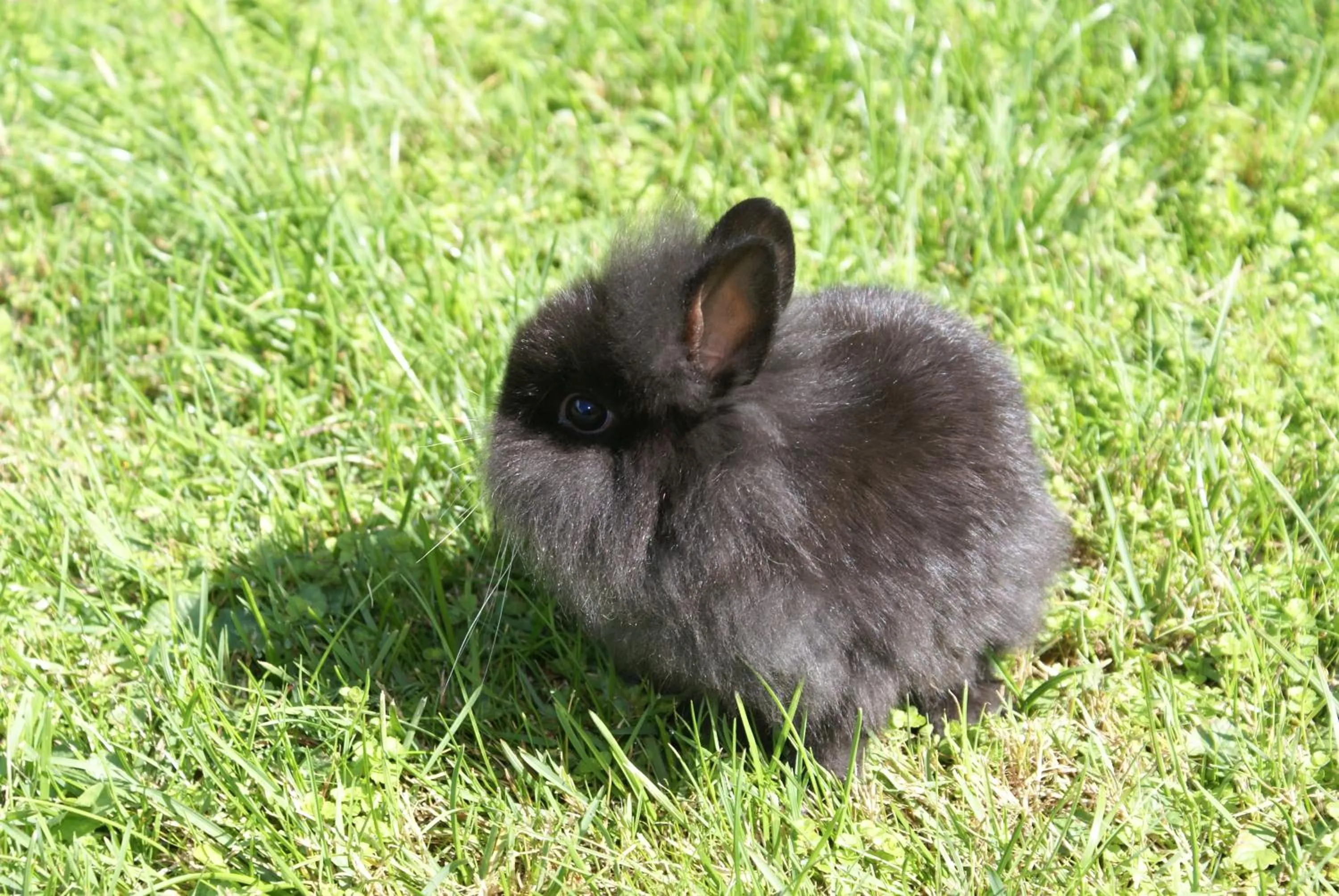 Other in Hotel Eschenhof & Apartments