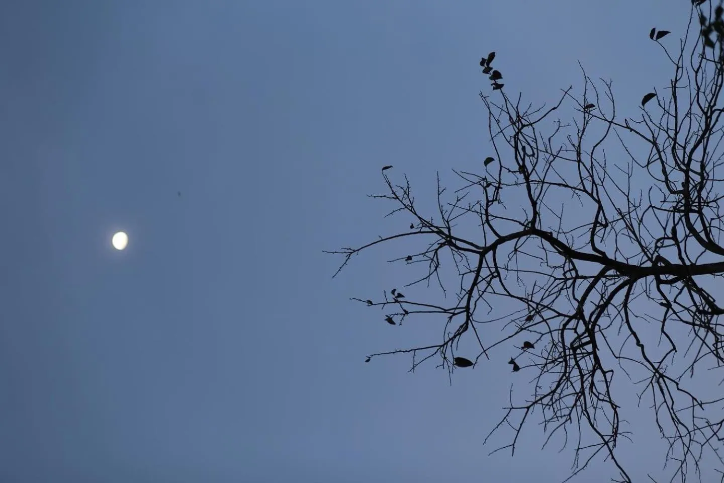 Property building in The Scent Boutique Dalat Hotel