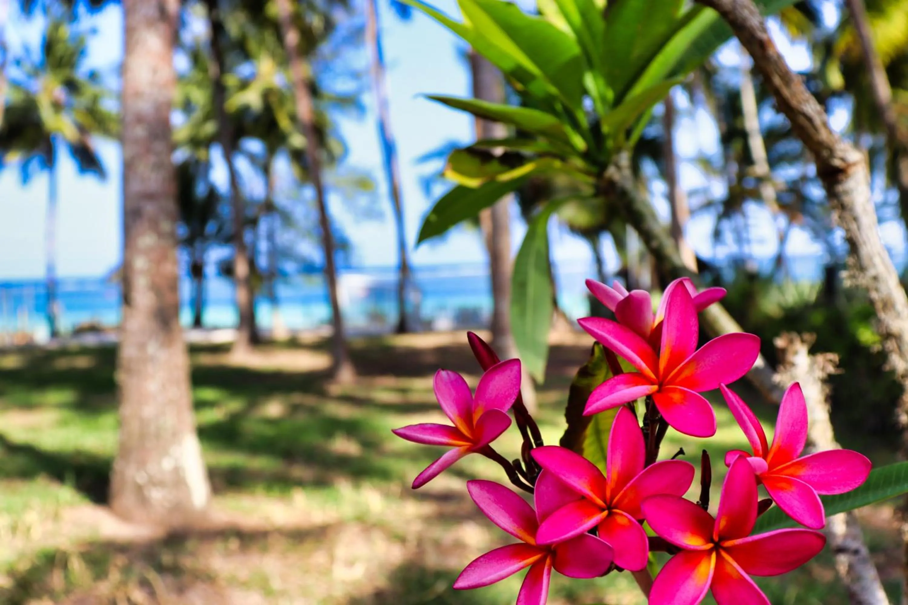 Searenity Beach Villa