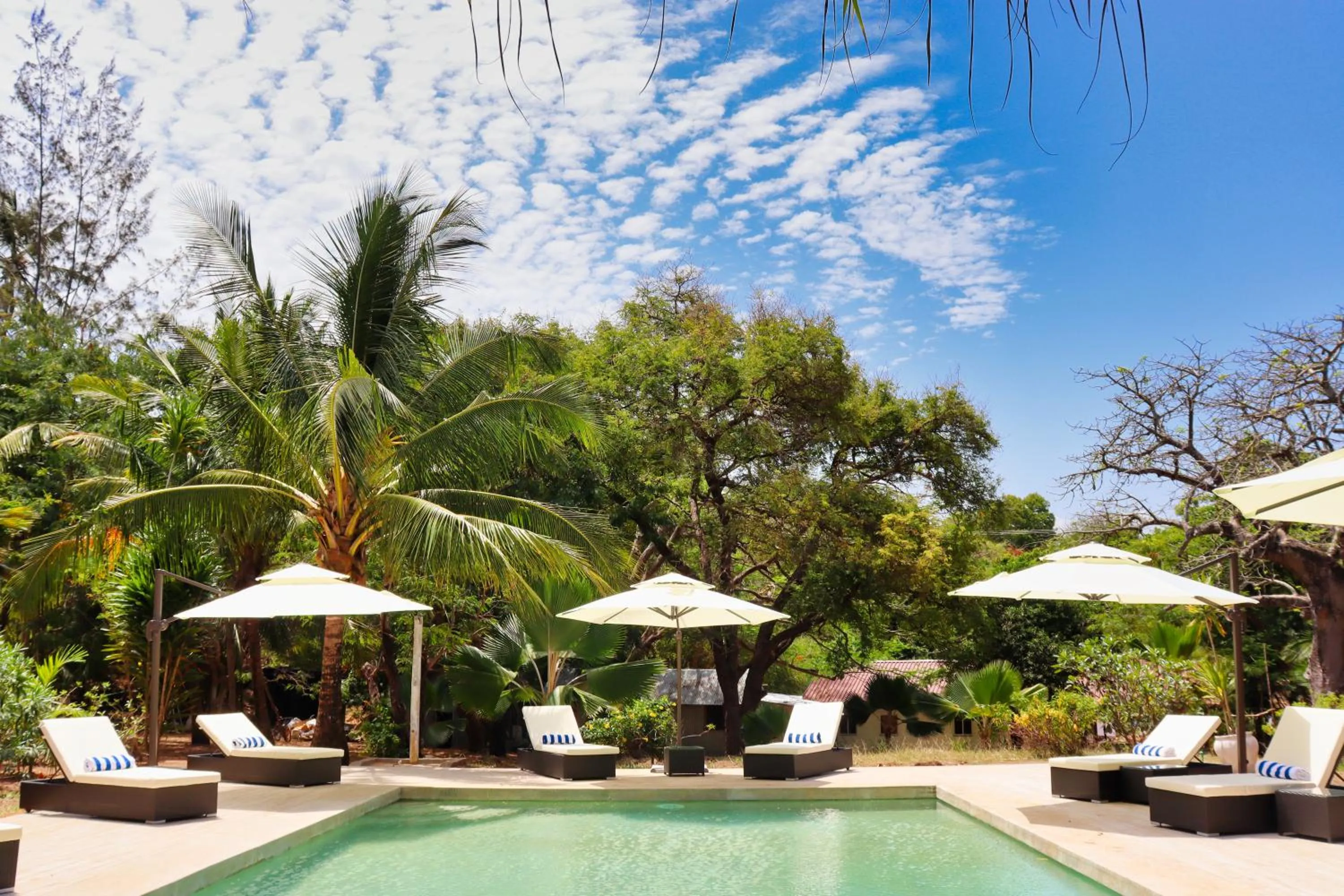 Pool view in Searenity Beach Villa