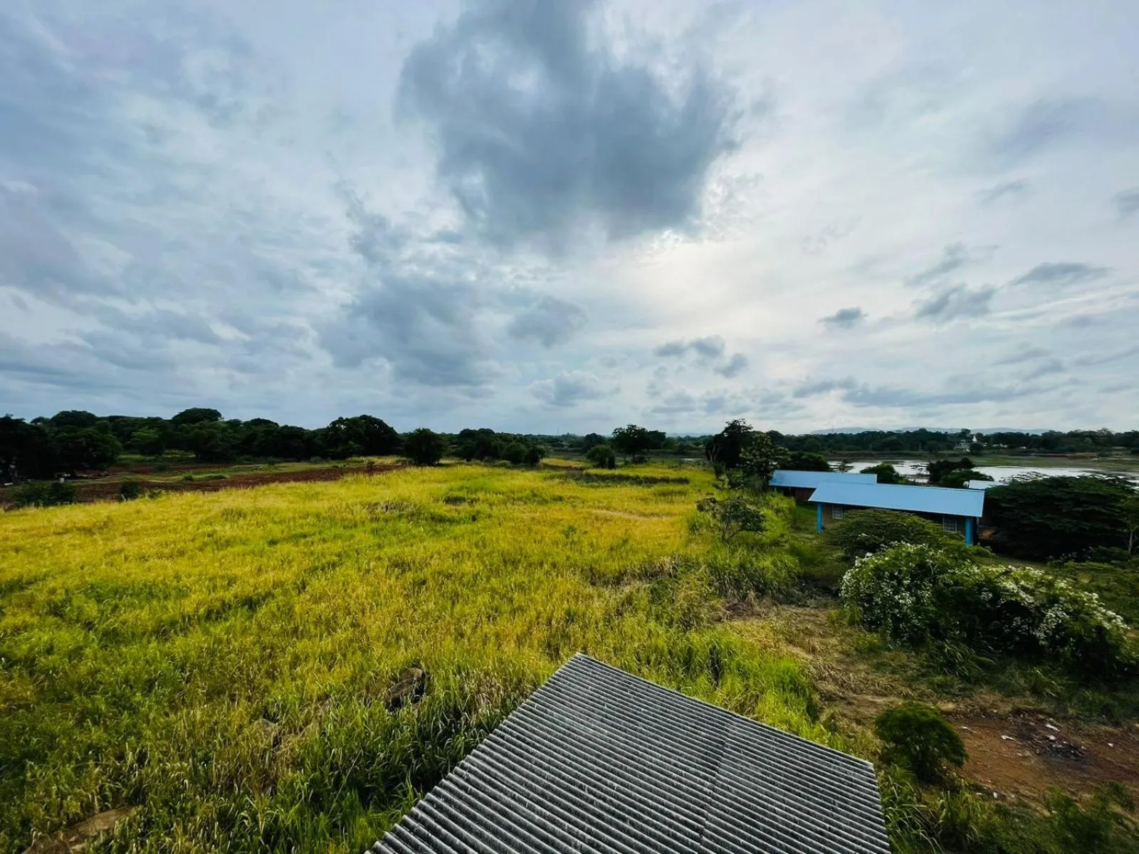 Property building in Birdwing Sigiriya