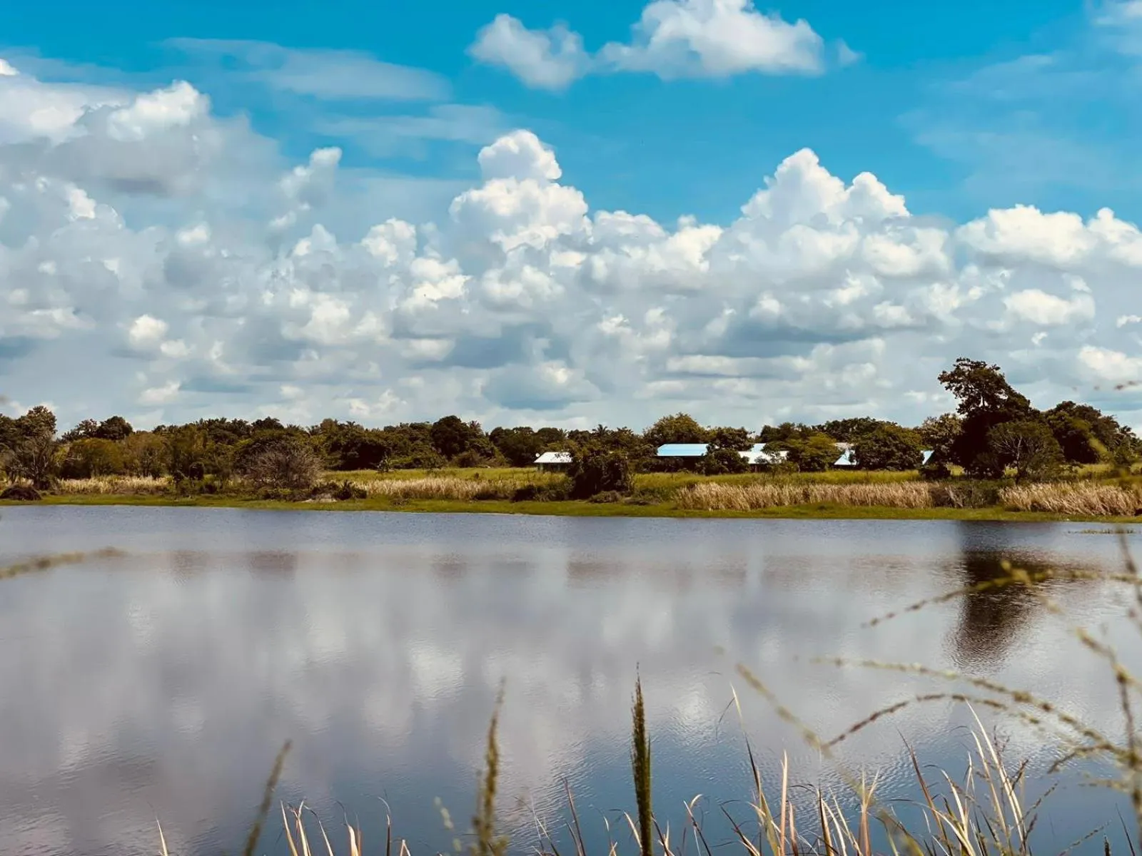 Property building in Birdwing Sigiriya