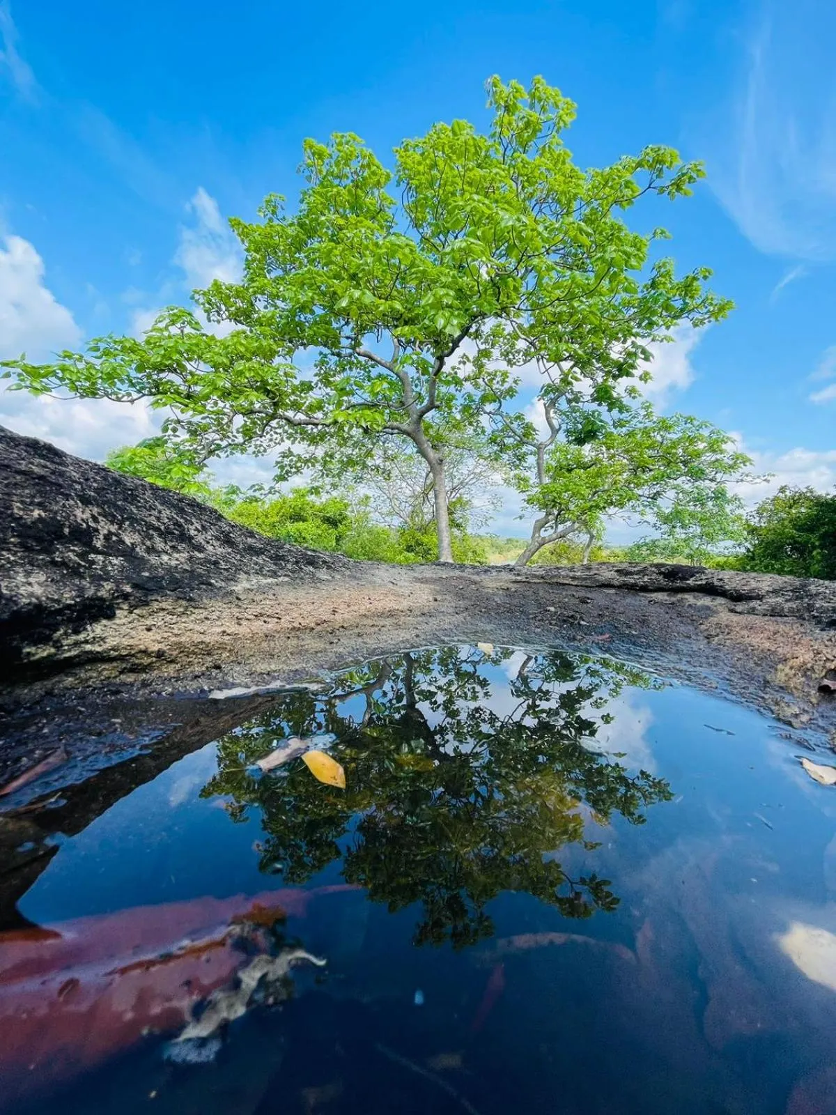 Nearby landmark in Birdwing Sigiriya