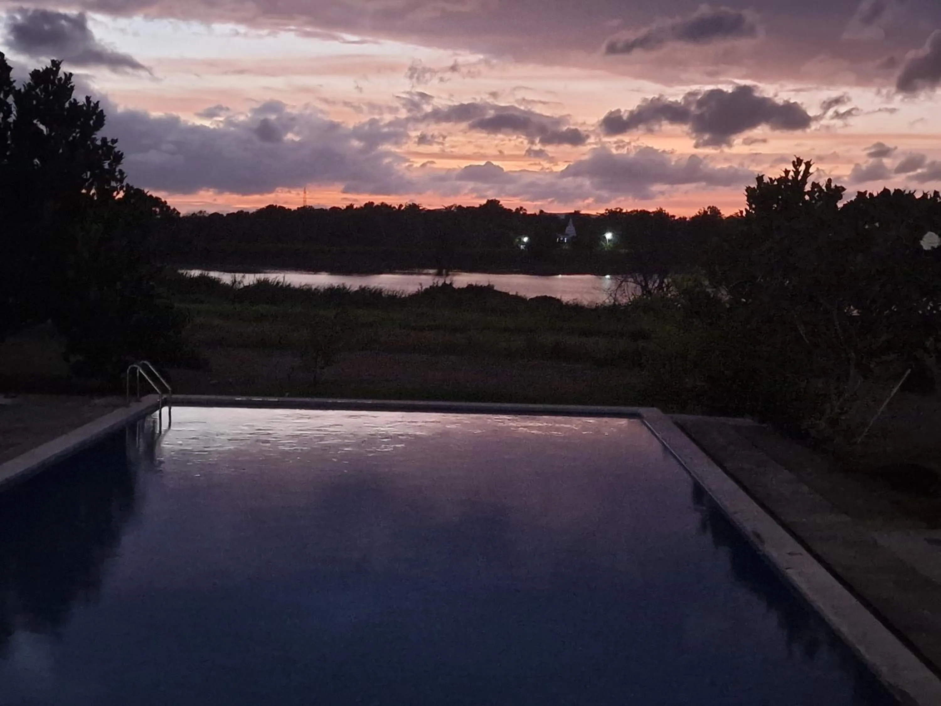 Swimming pool in Birdwing Sigiriya