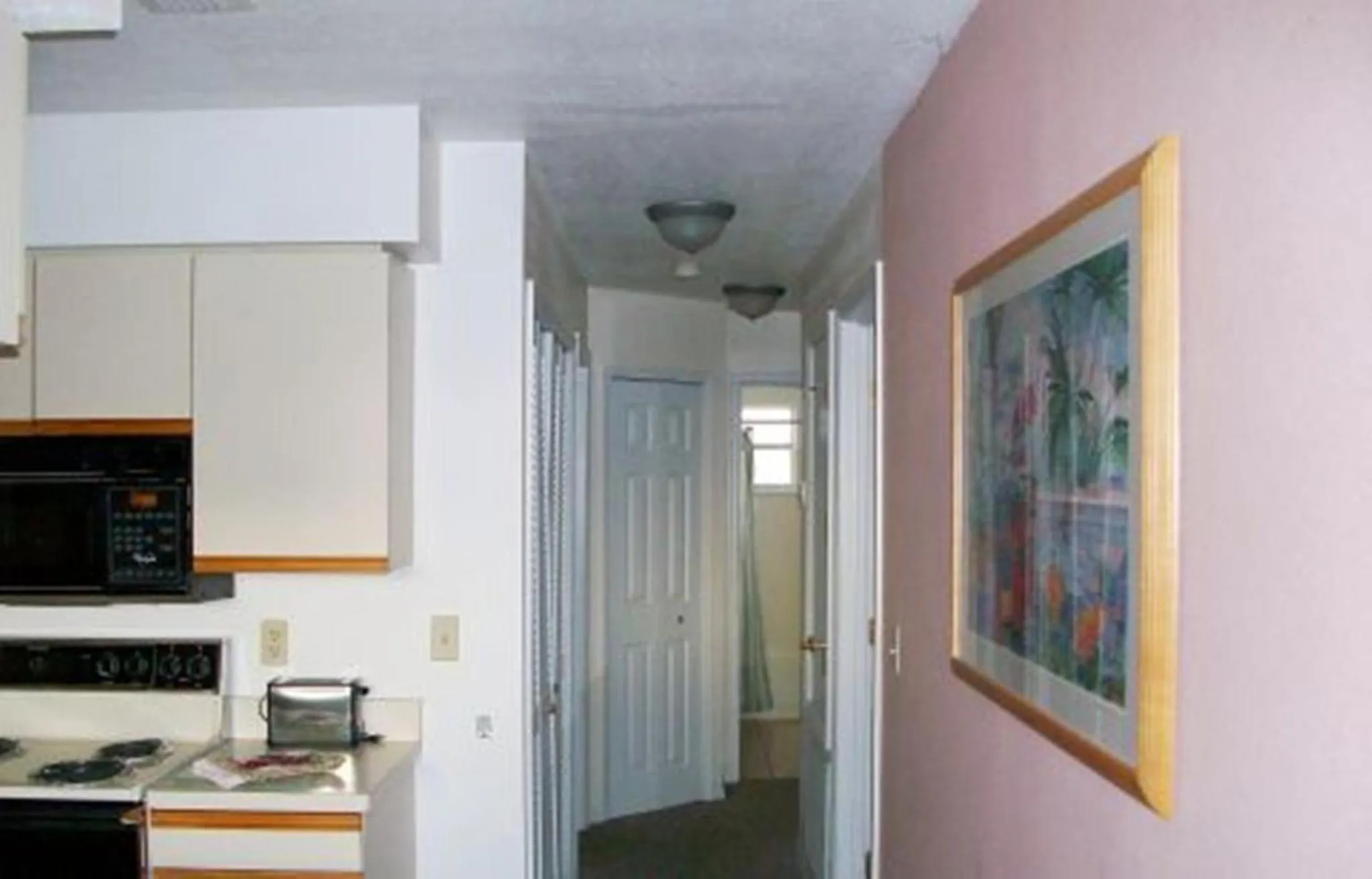 Other in Mickey's Paradise