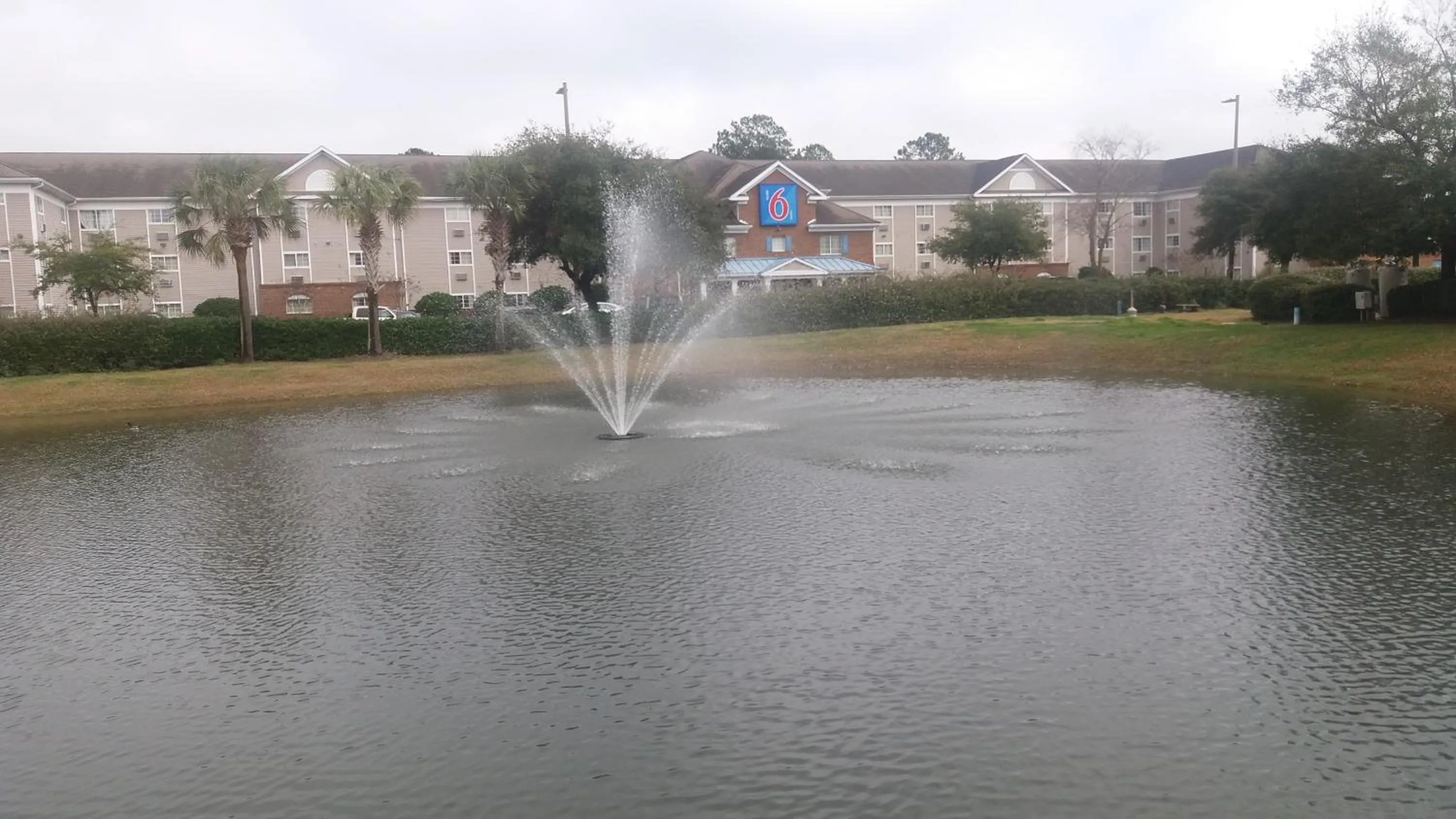 Natural landscape in Motel 6 Myrtle Beach