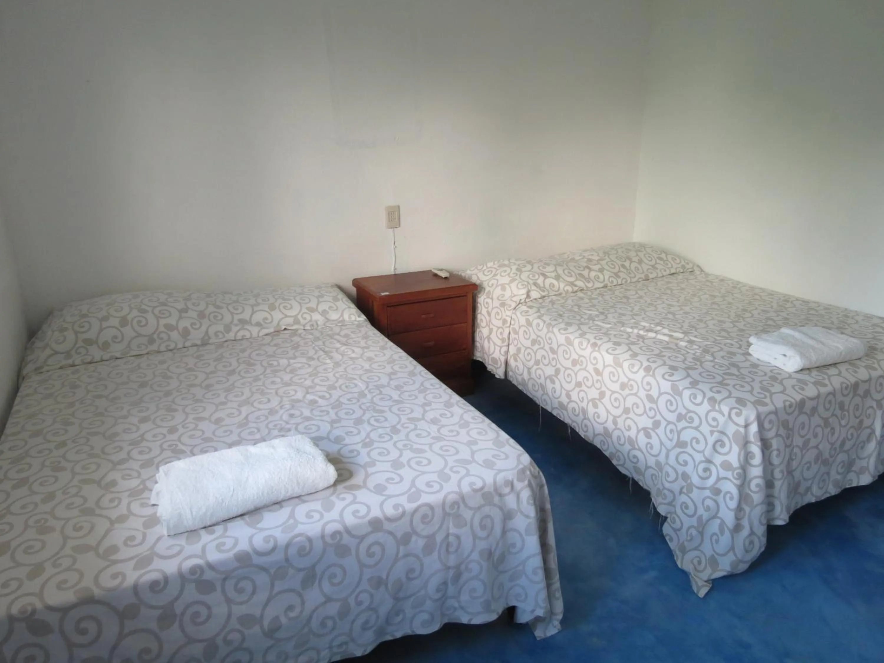 Photo of the whole room in Eco Coco Loco by Rotamundos