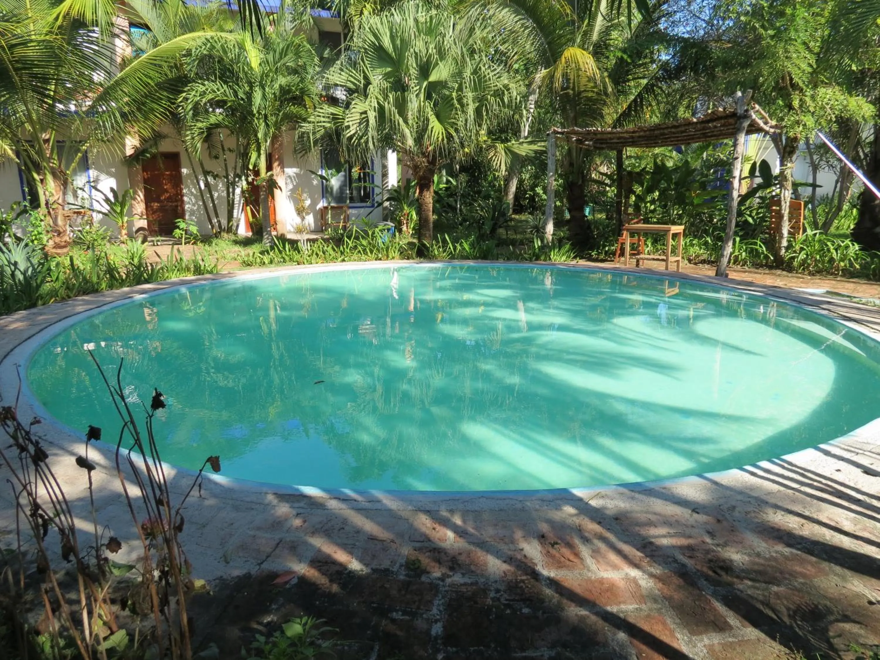 Swimming pool in Eco Coco Loco by Rotamundos