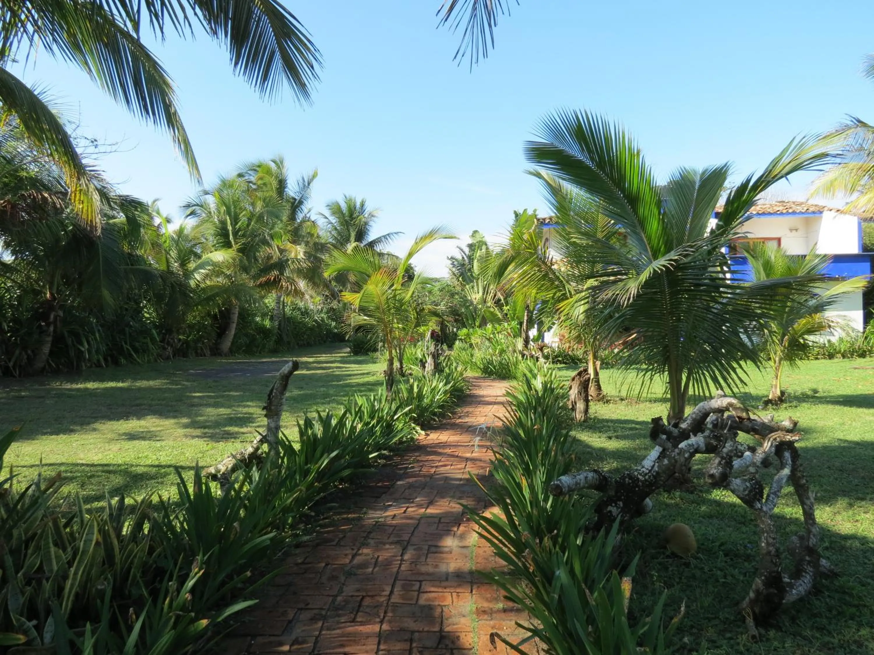 Natural landscape in Eco Coco Loco by Rotamundos